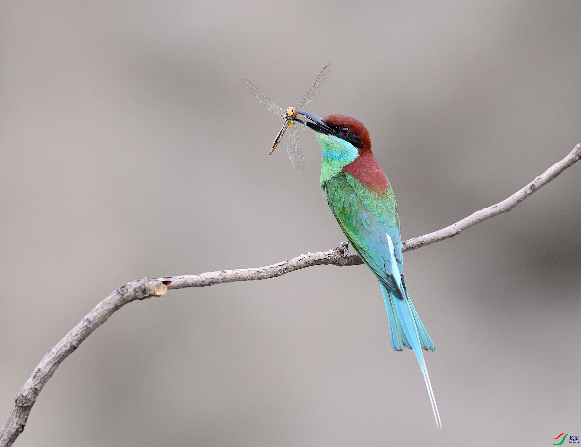 DSC_2039.jpg