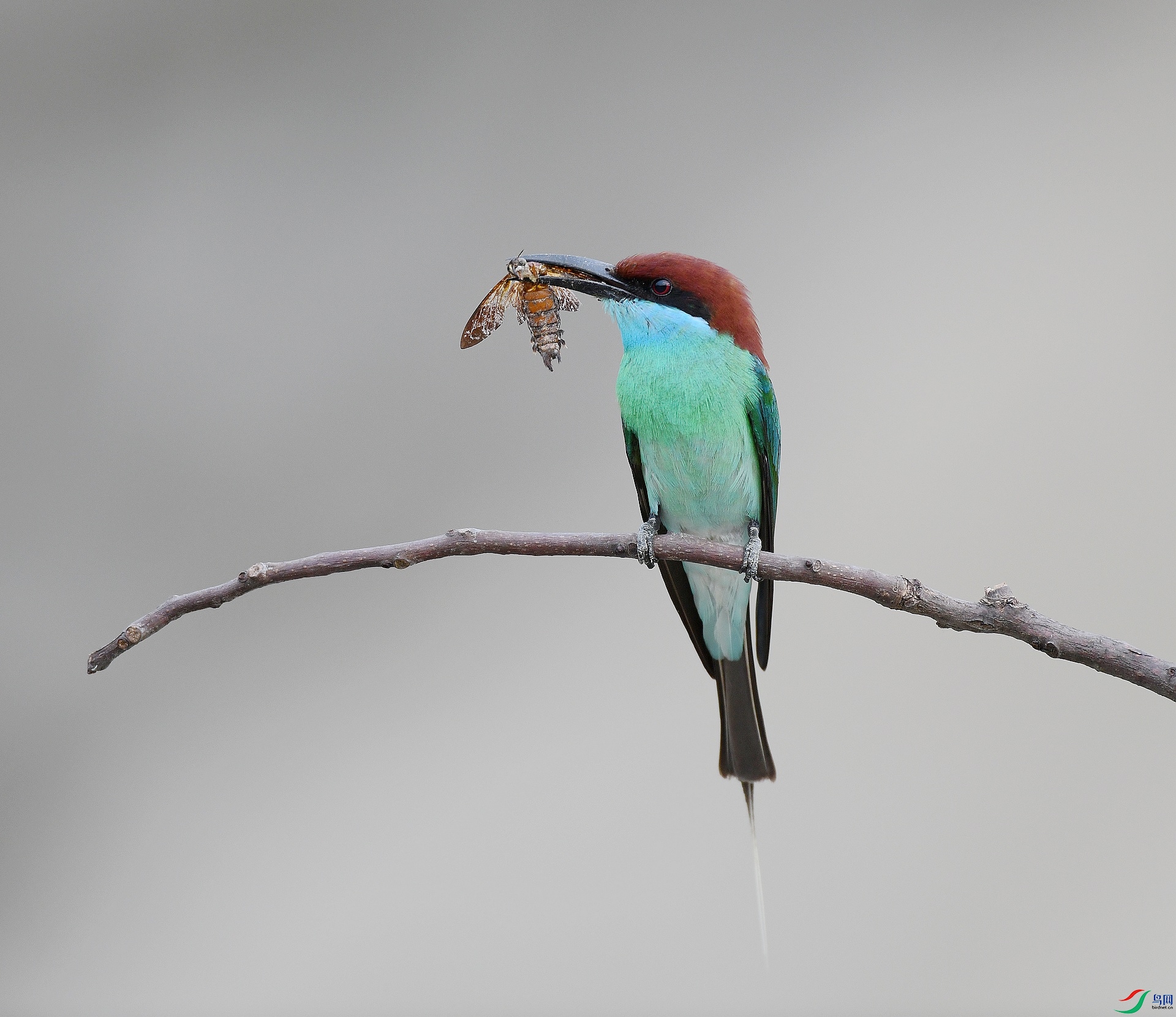 DSC_1852.jpg