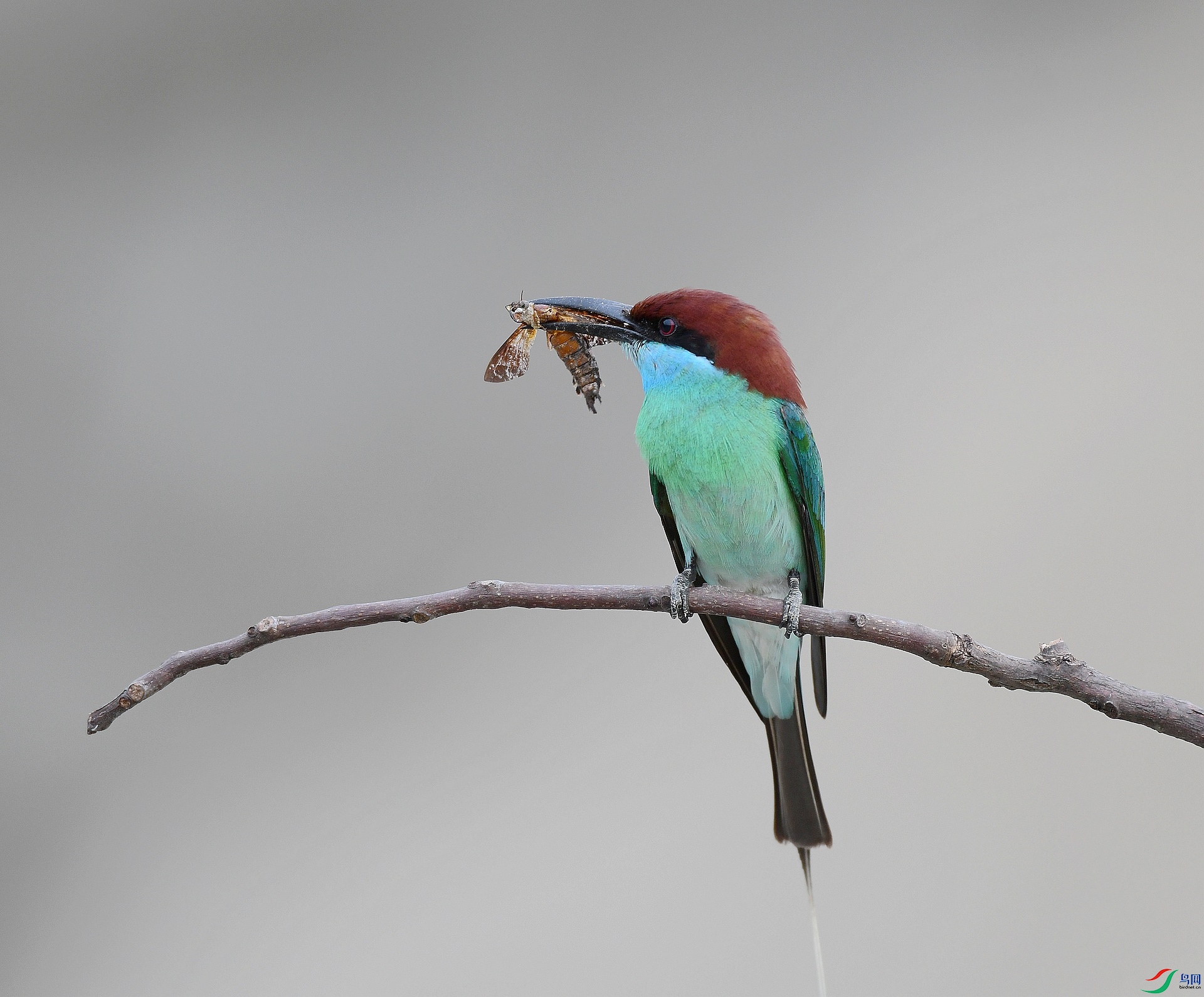 DSC_1827.jpg