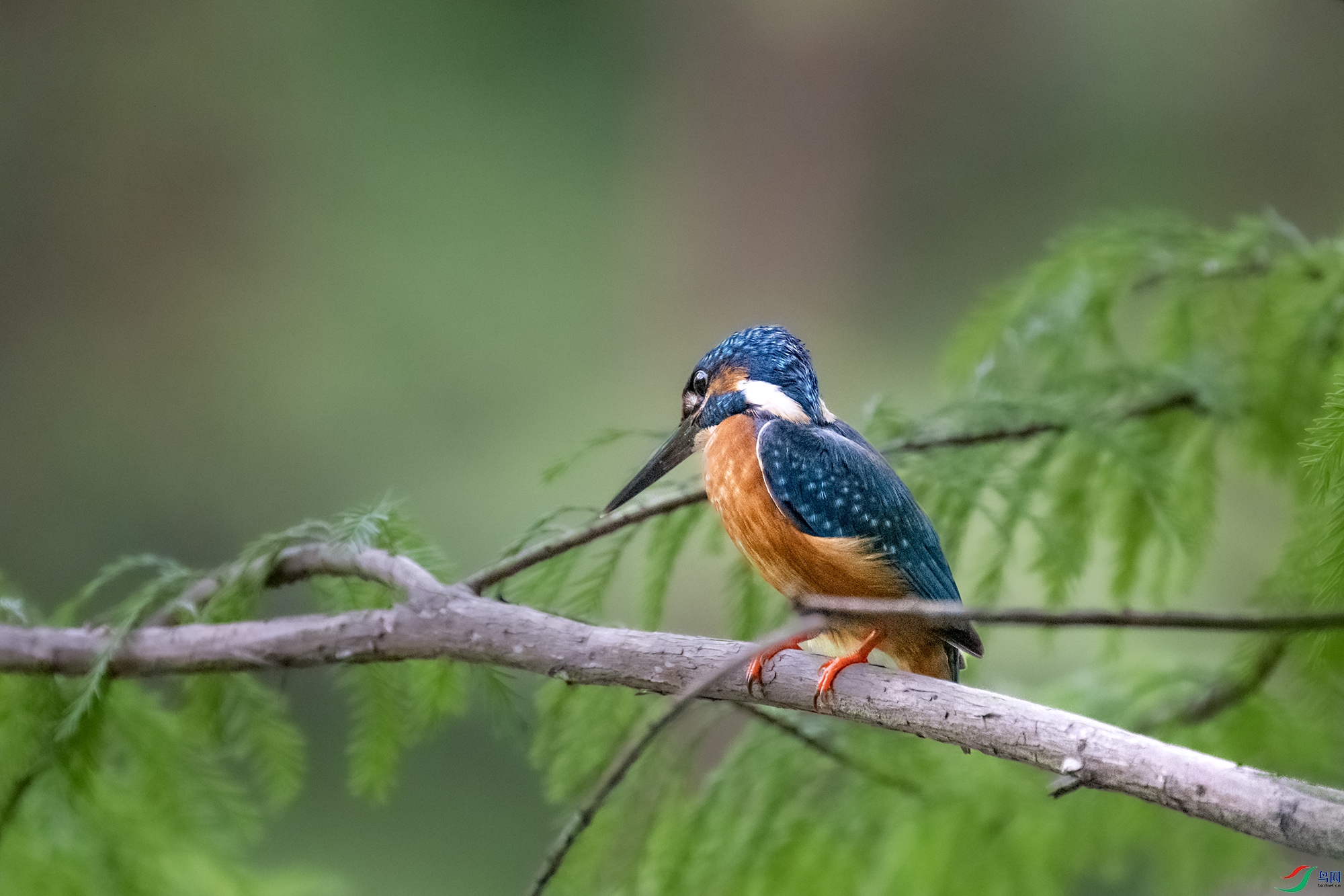 DSC_3673.jpg