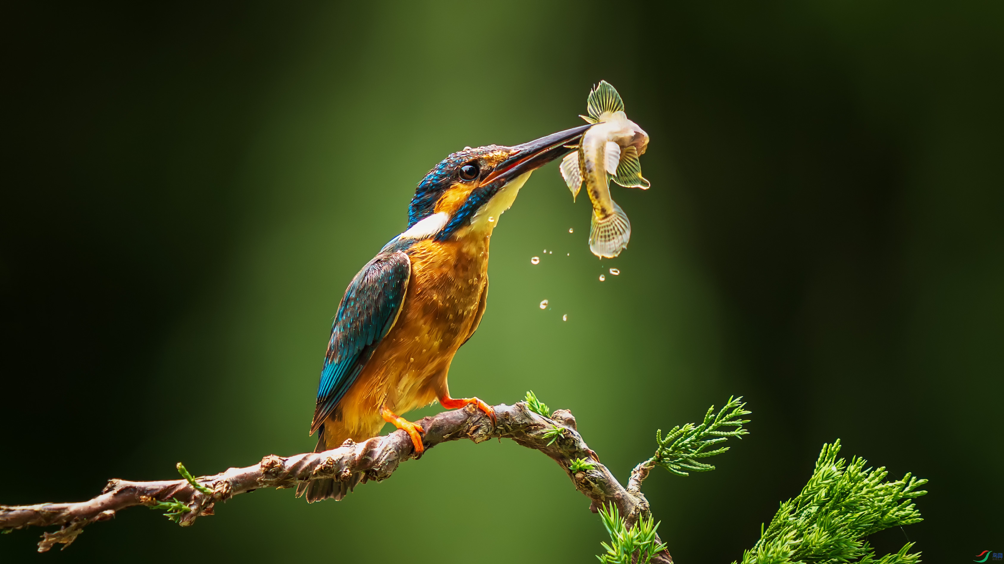 ��DSC01615.jpg