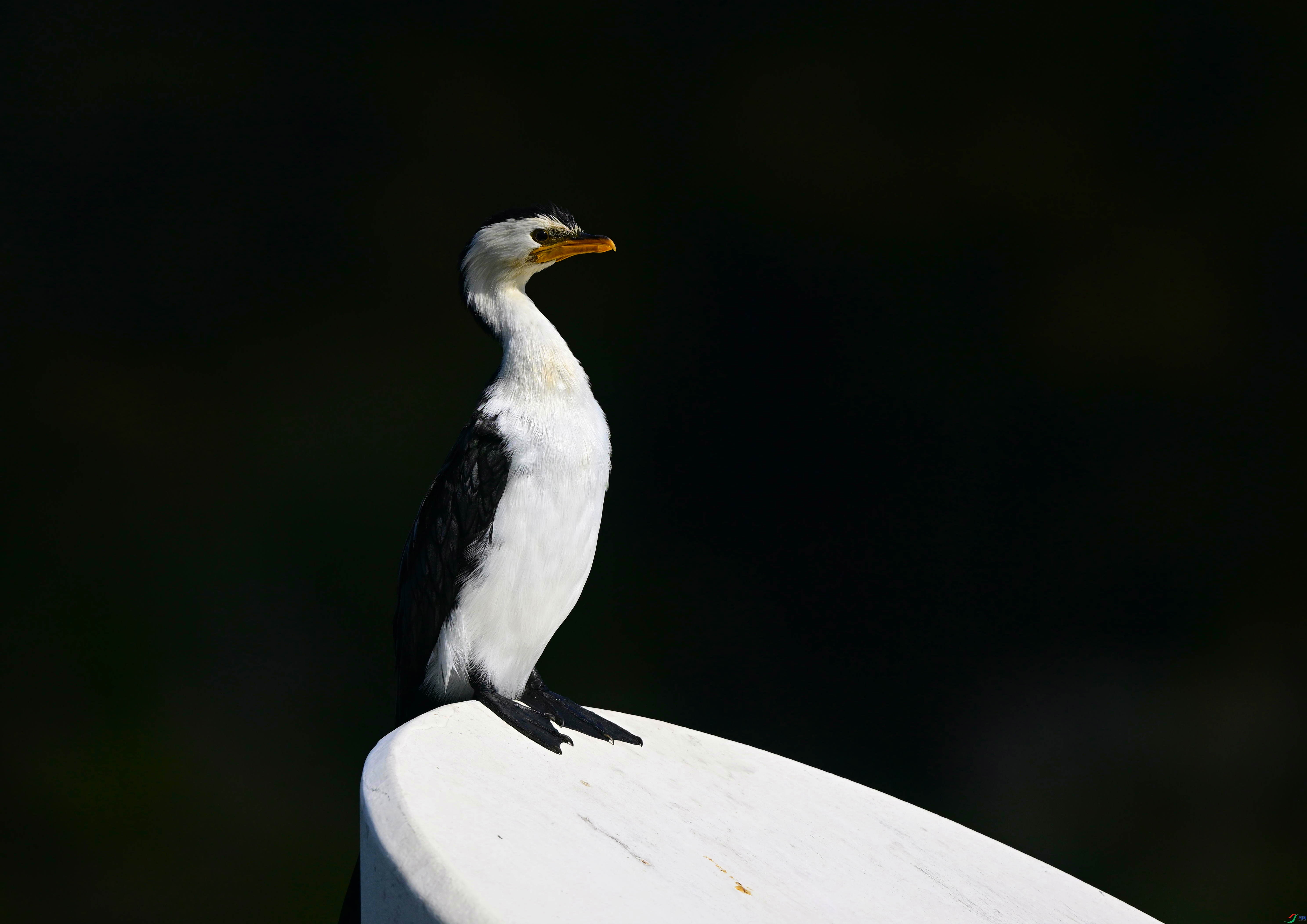 DSC_8719_��ͼ��_����.jpg