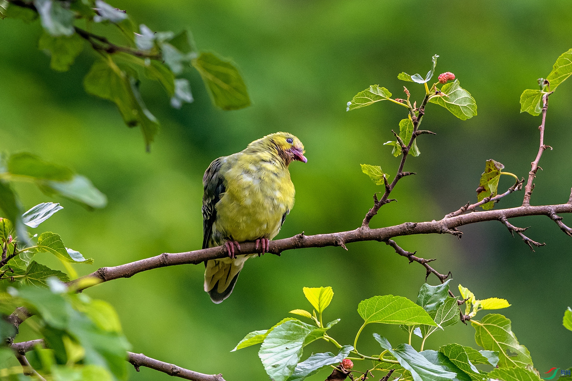 _AUU6930 ��β���(25.7.8).jpg