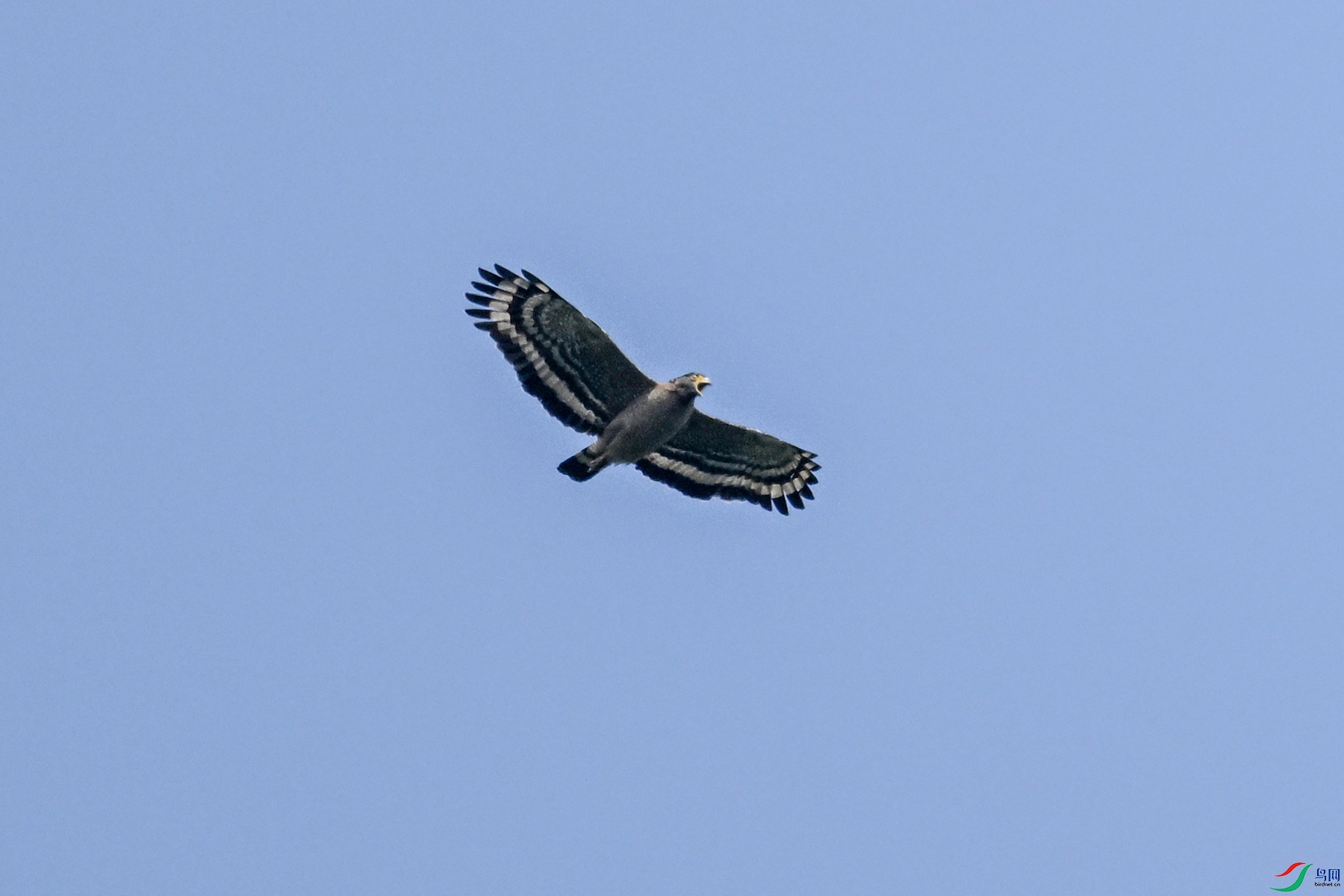 DSC_5509.JPG