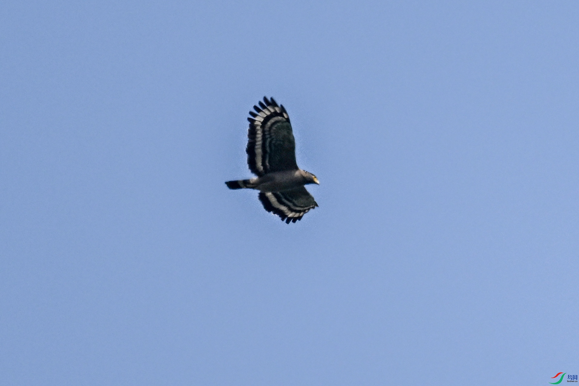 DSC_5519.JPG