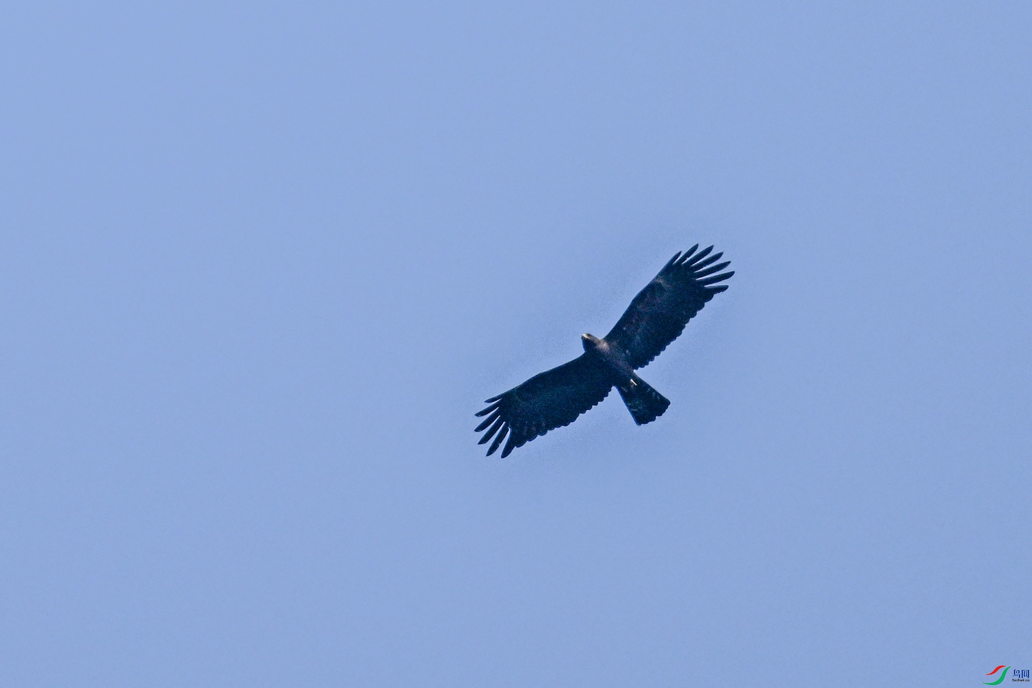 DSC_5535.JPG