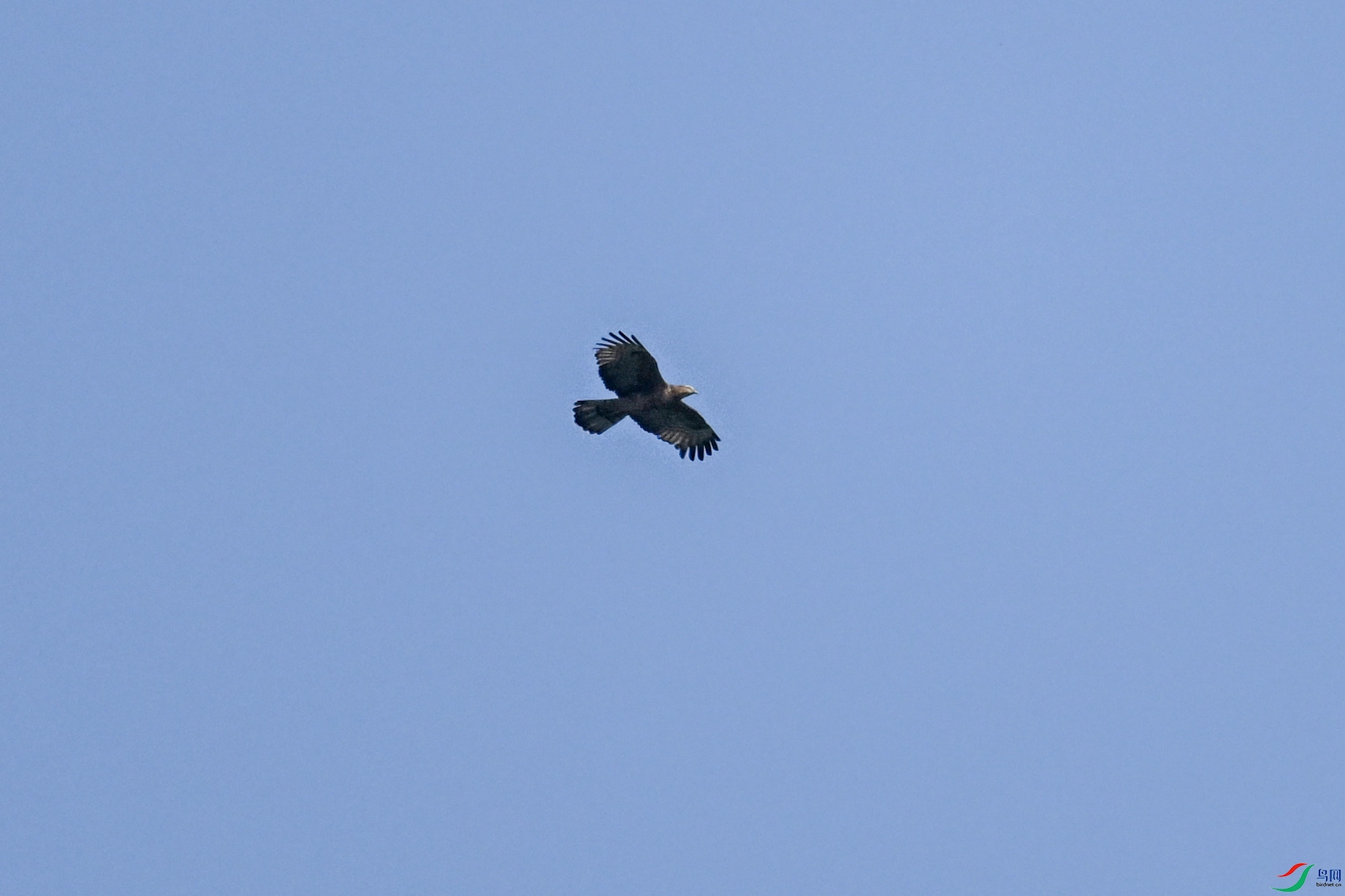 DSC_5548.JPG