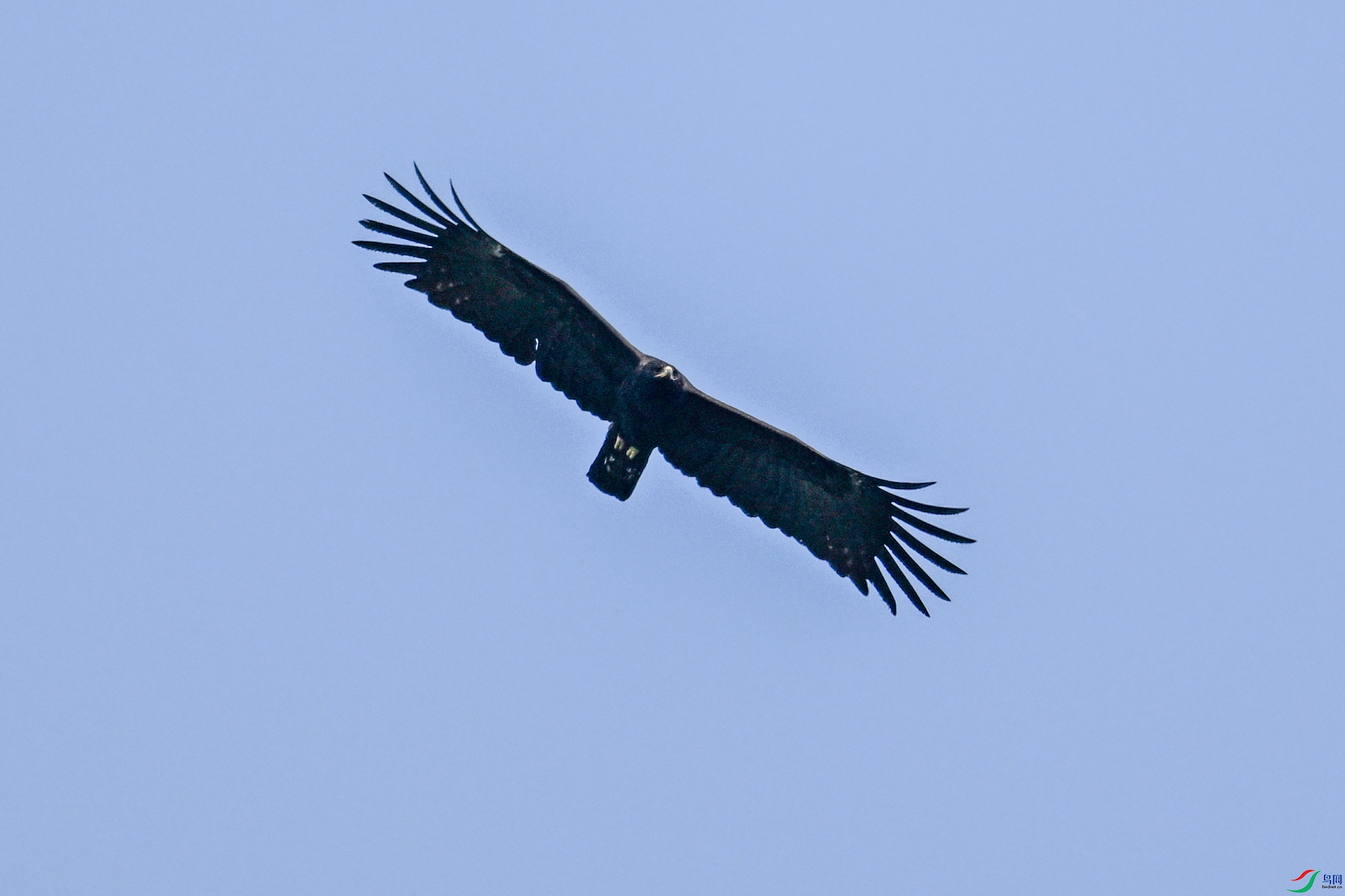 DSC_5563.JPG