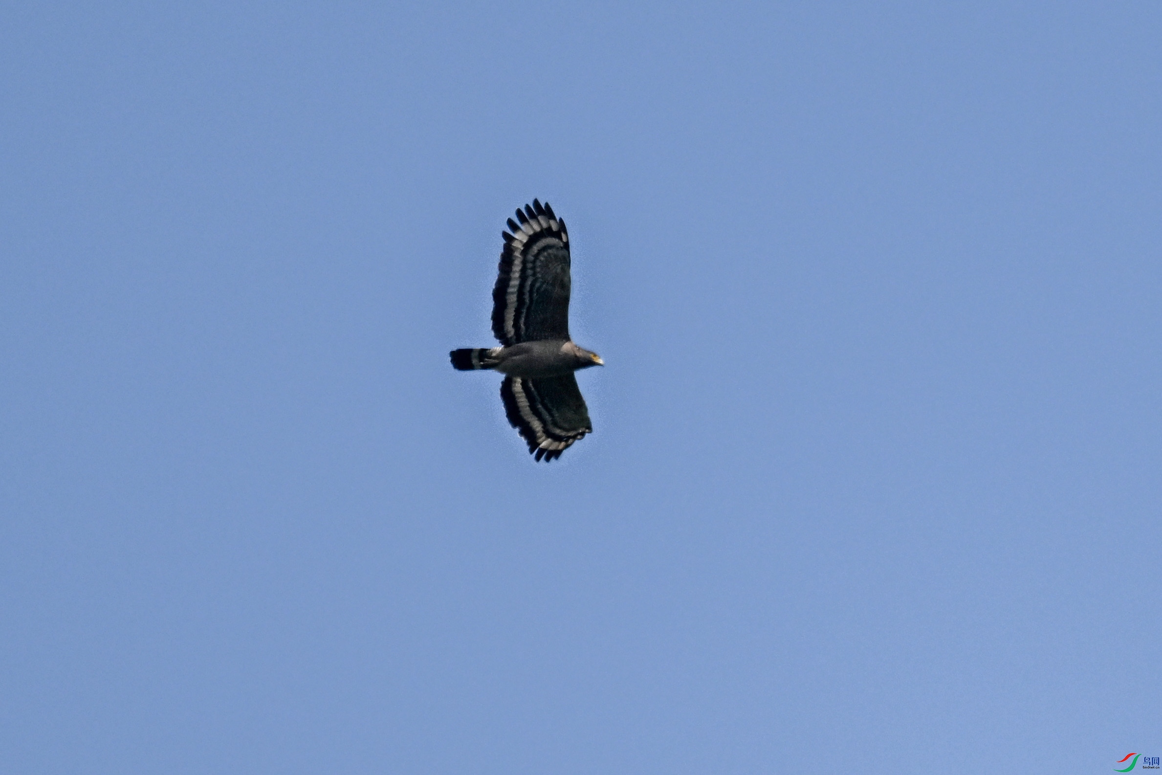DSC_5523.JPG