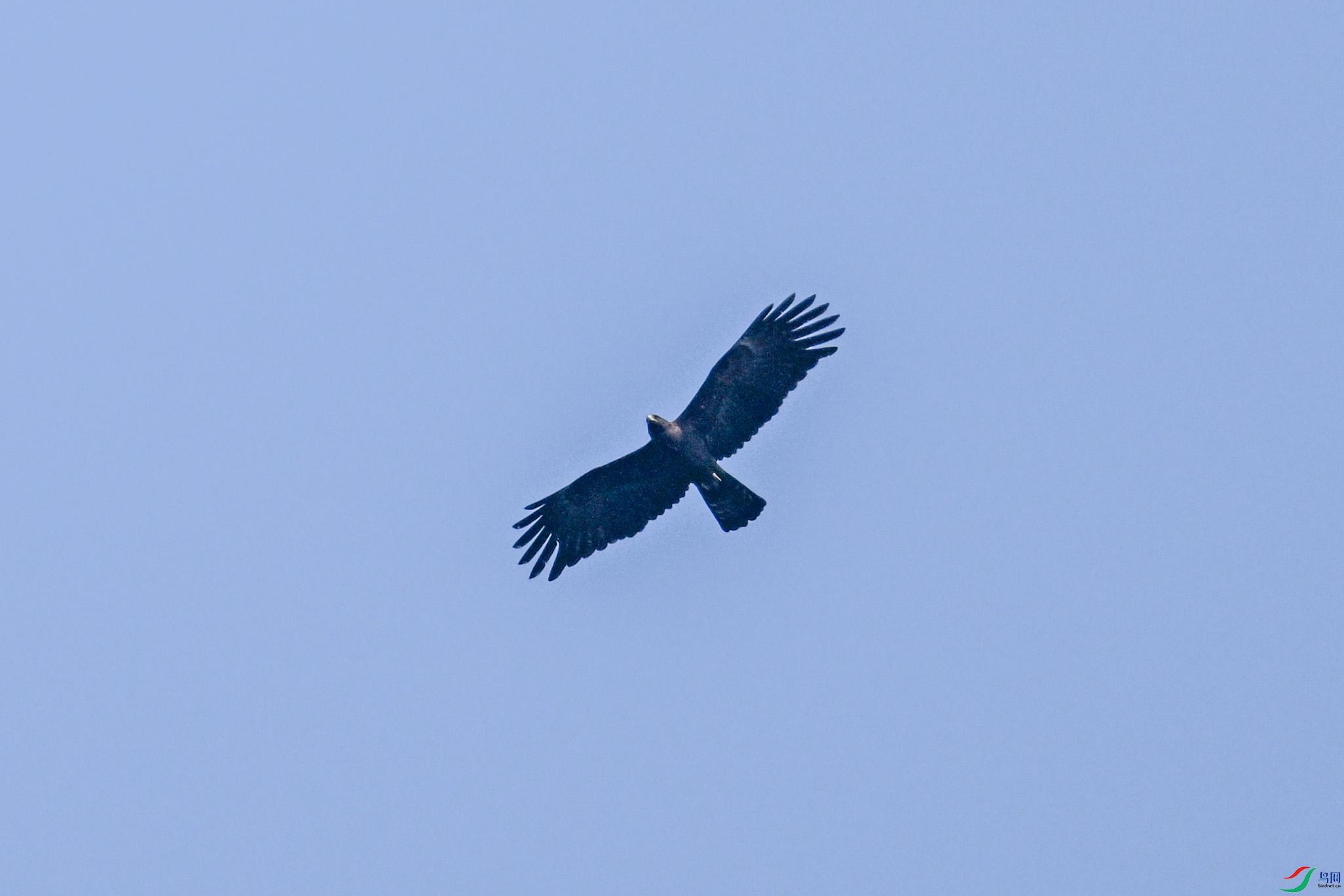 DSC_5537.JPG