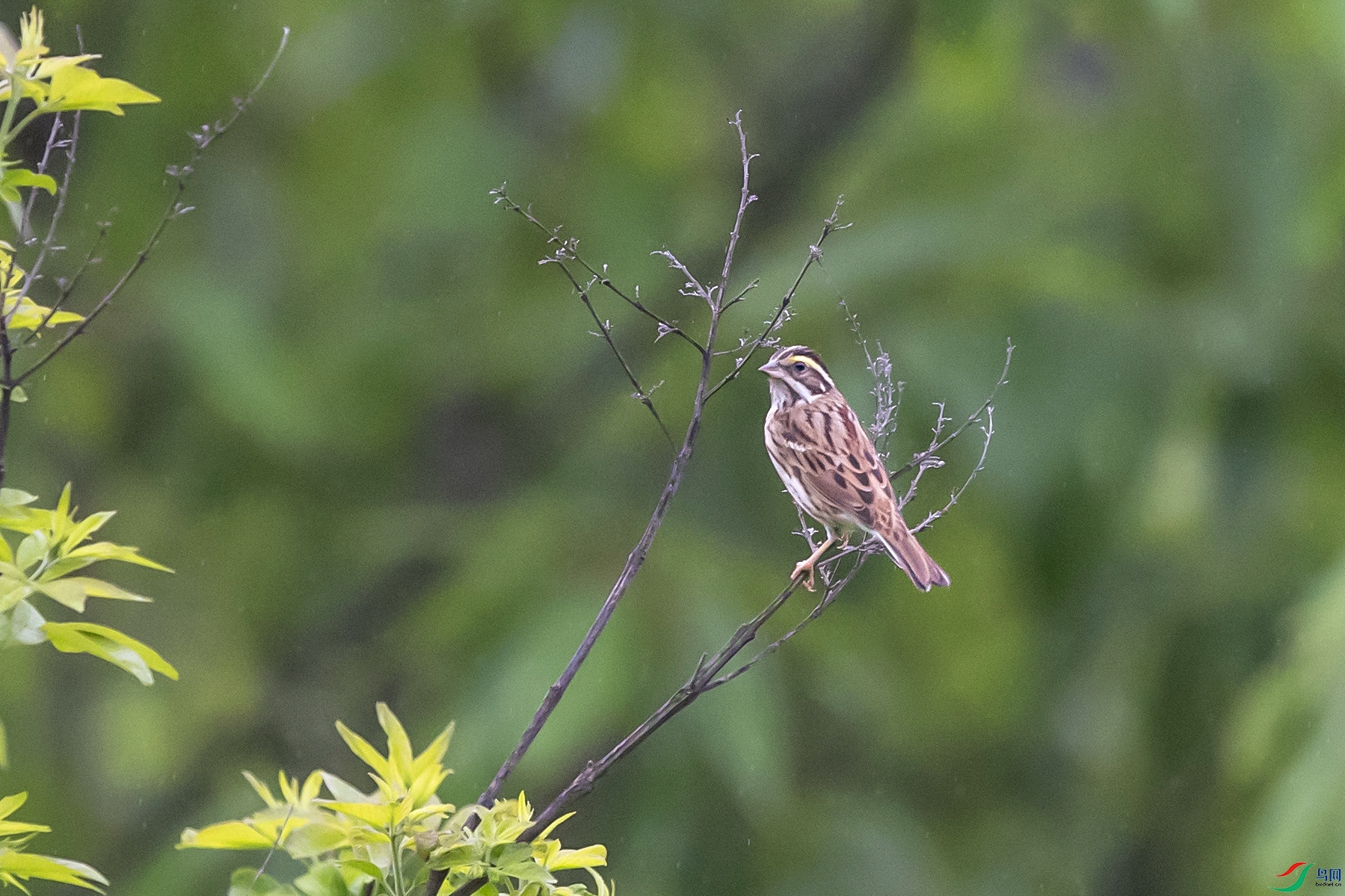 DSC_2105.jpg