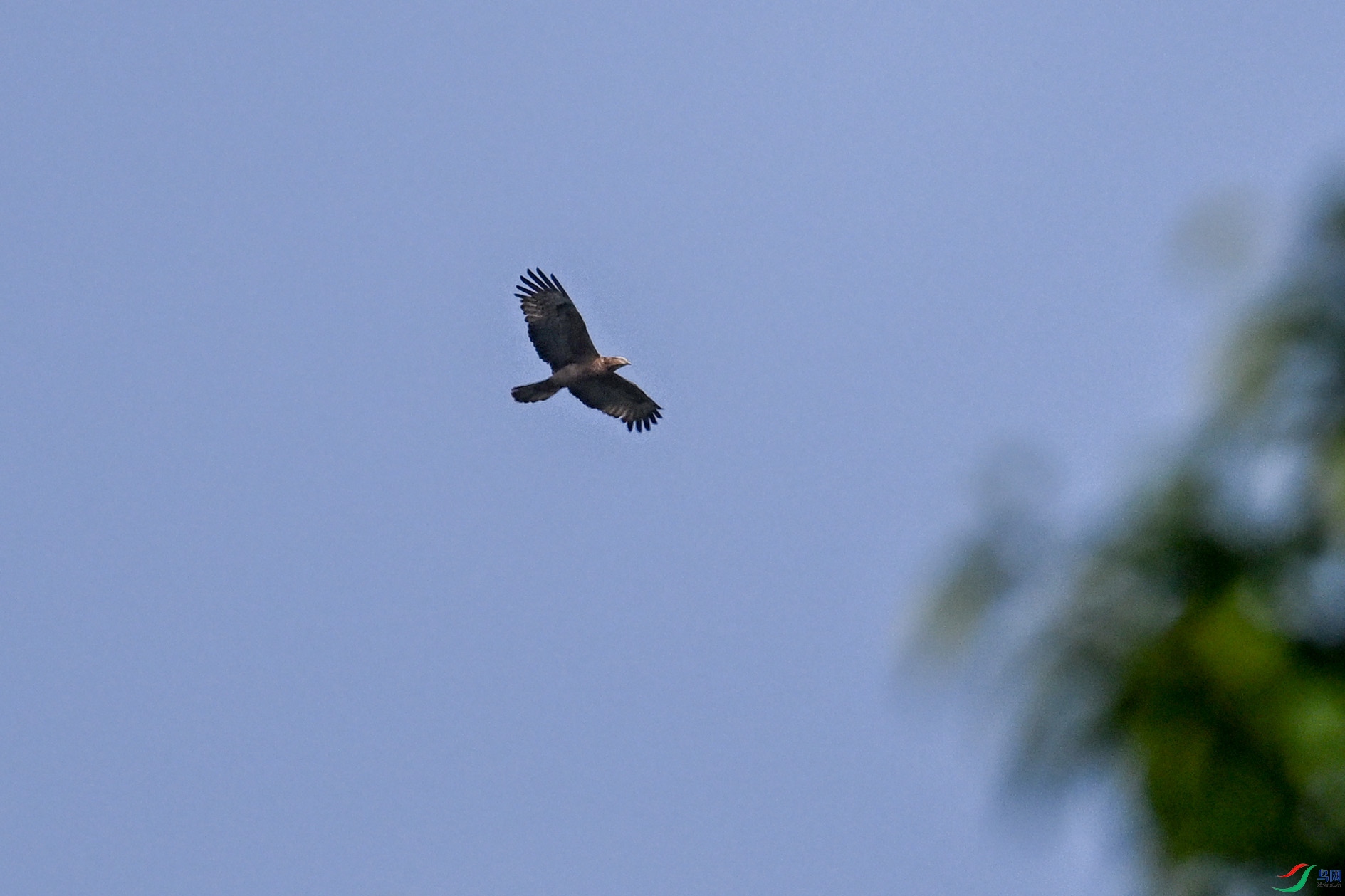DSC_5551.JPG