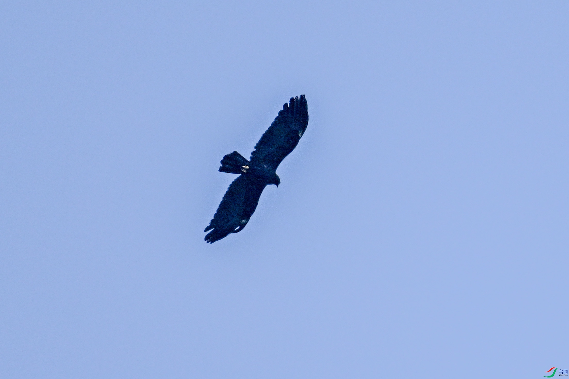 DSC_5524.JPG