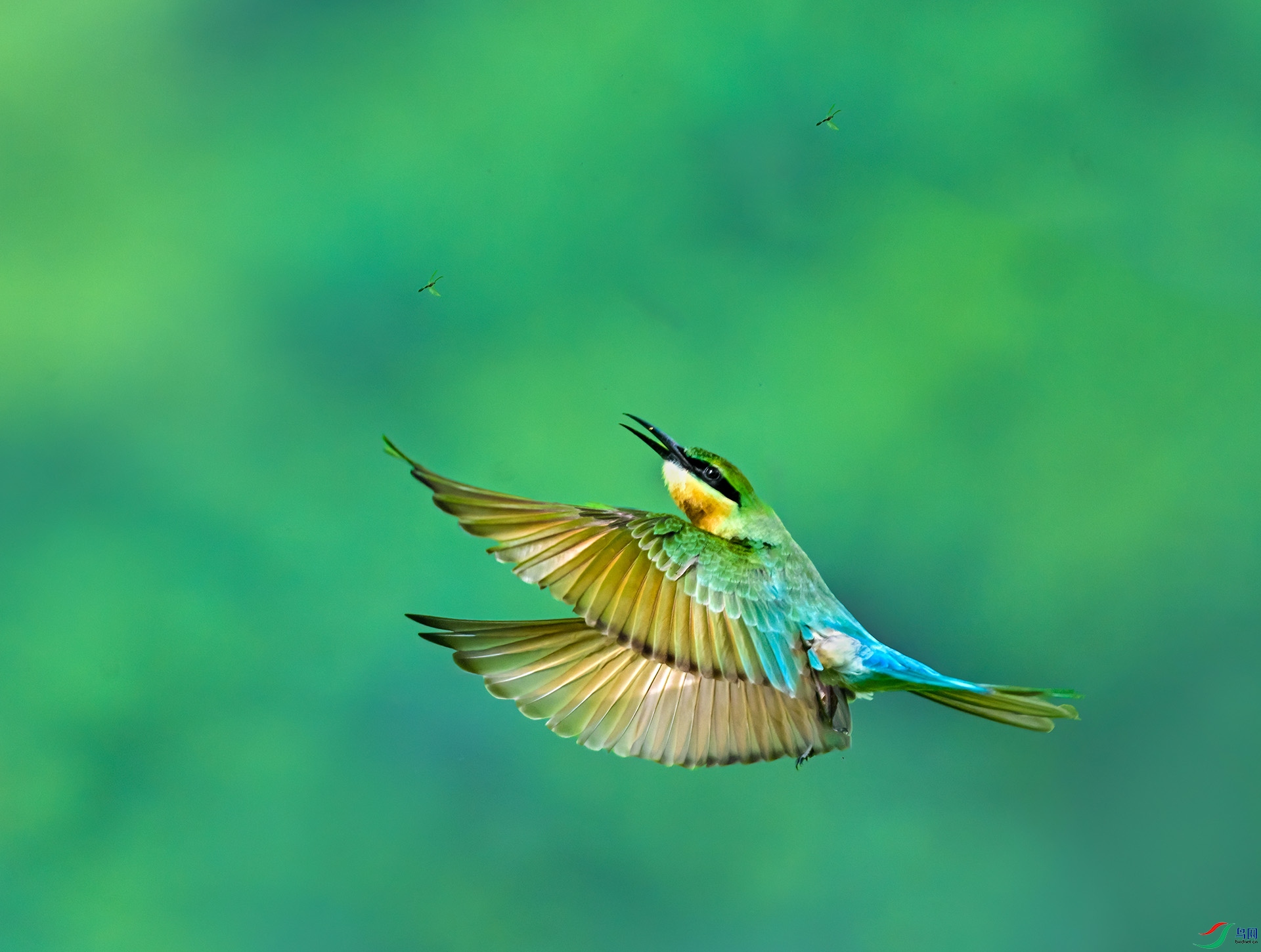 DSC_4914.jpg111.jpg
