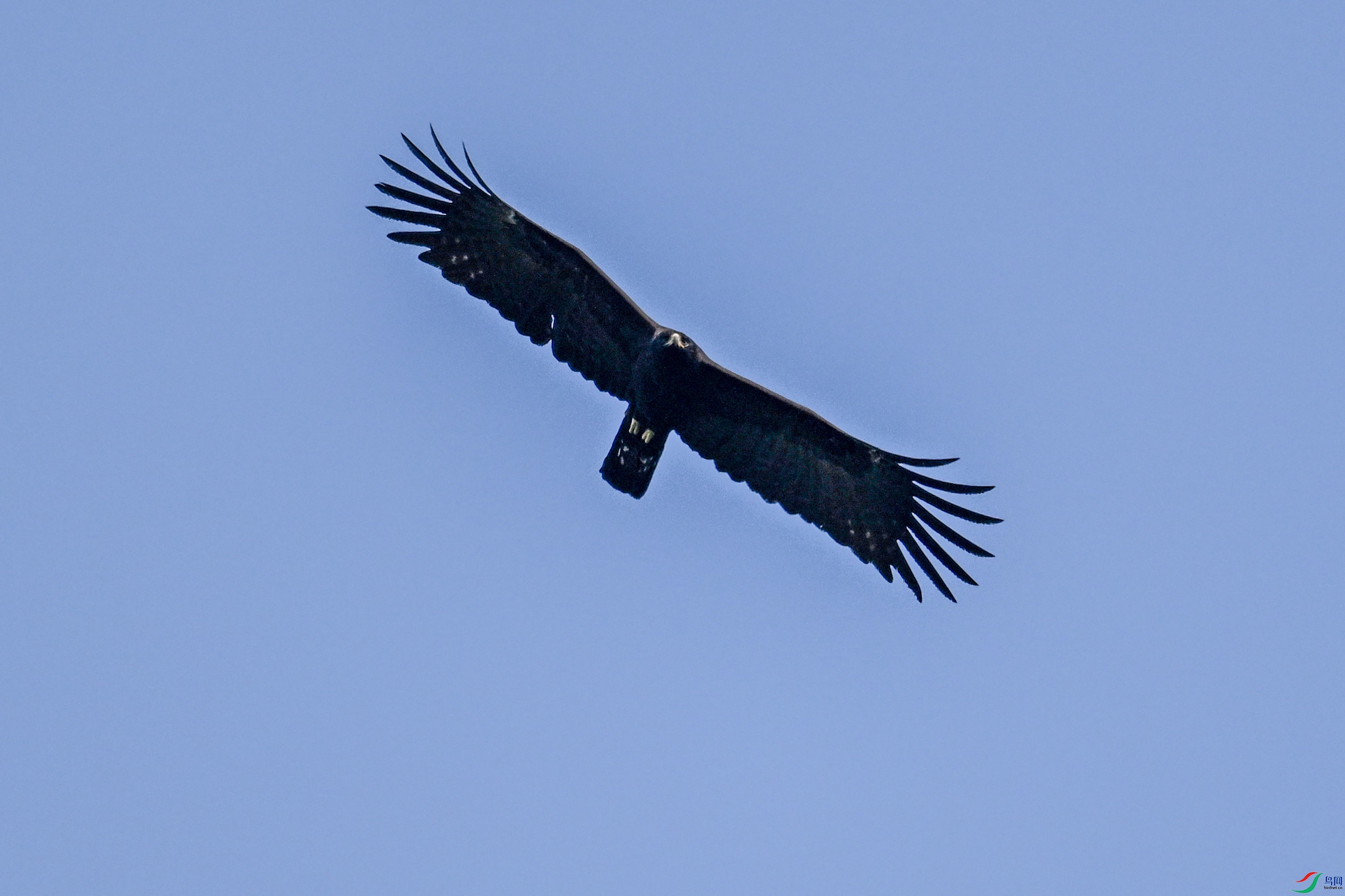 DSC_5554.JPG