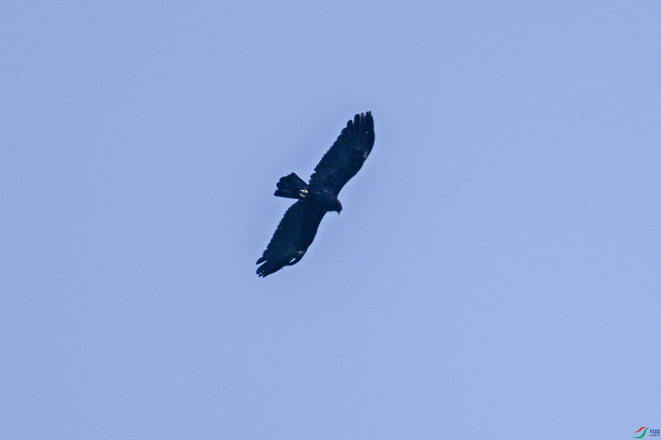 DSC_5525.JPG