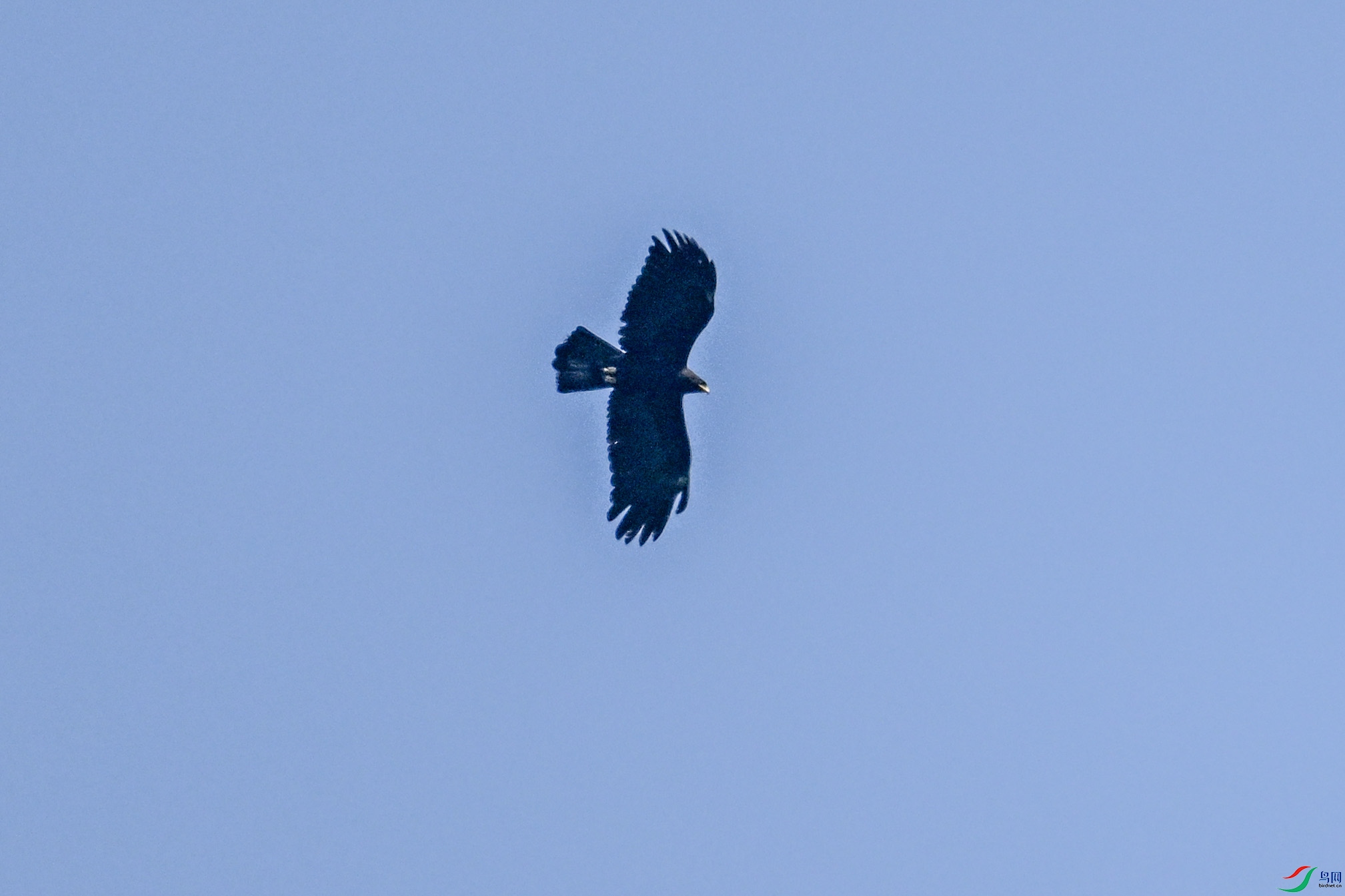 DSC_5541.JPG
