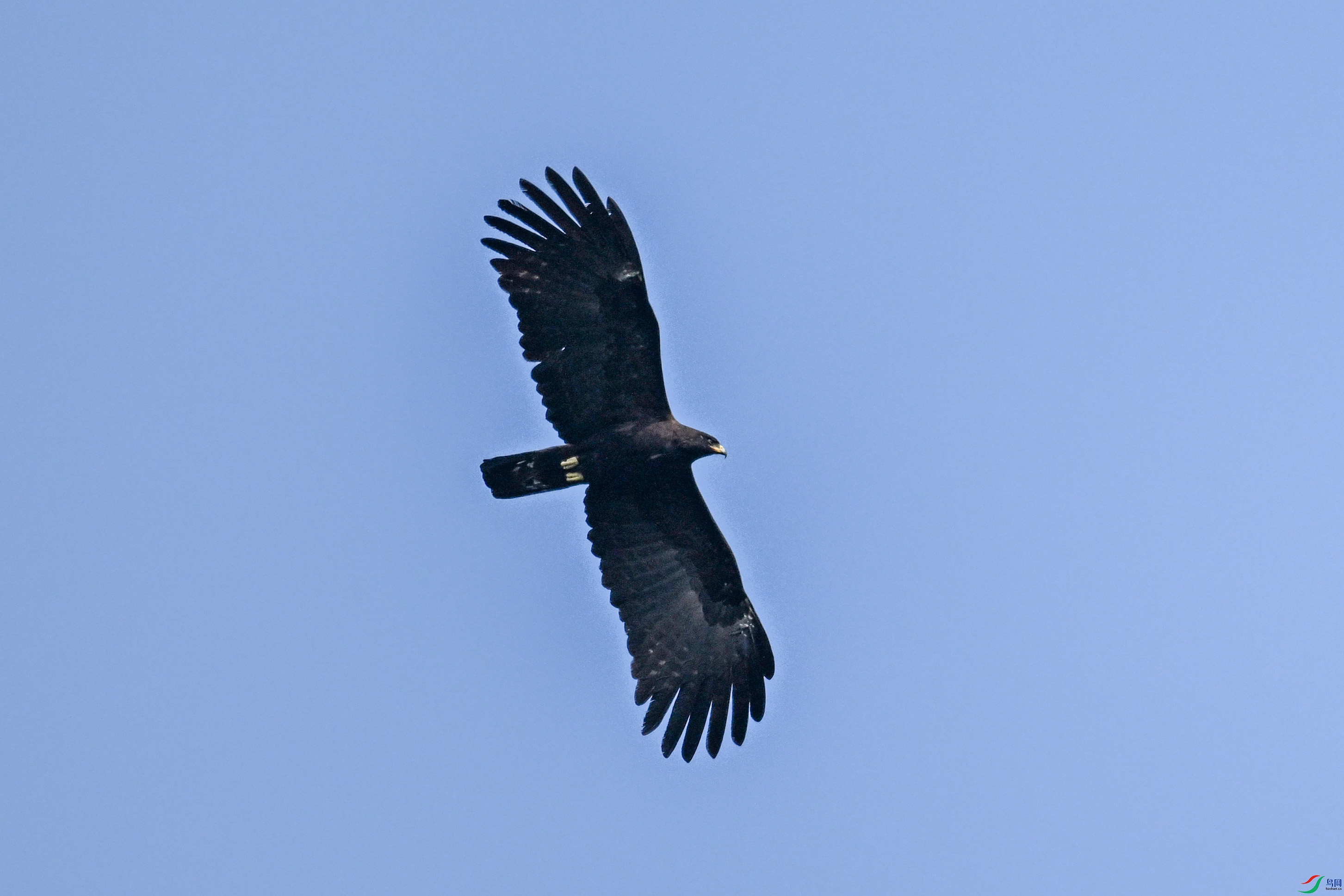DSC_5558.JPG
