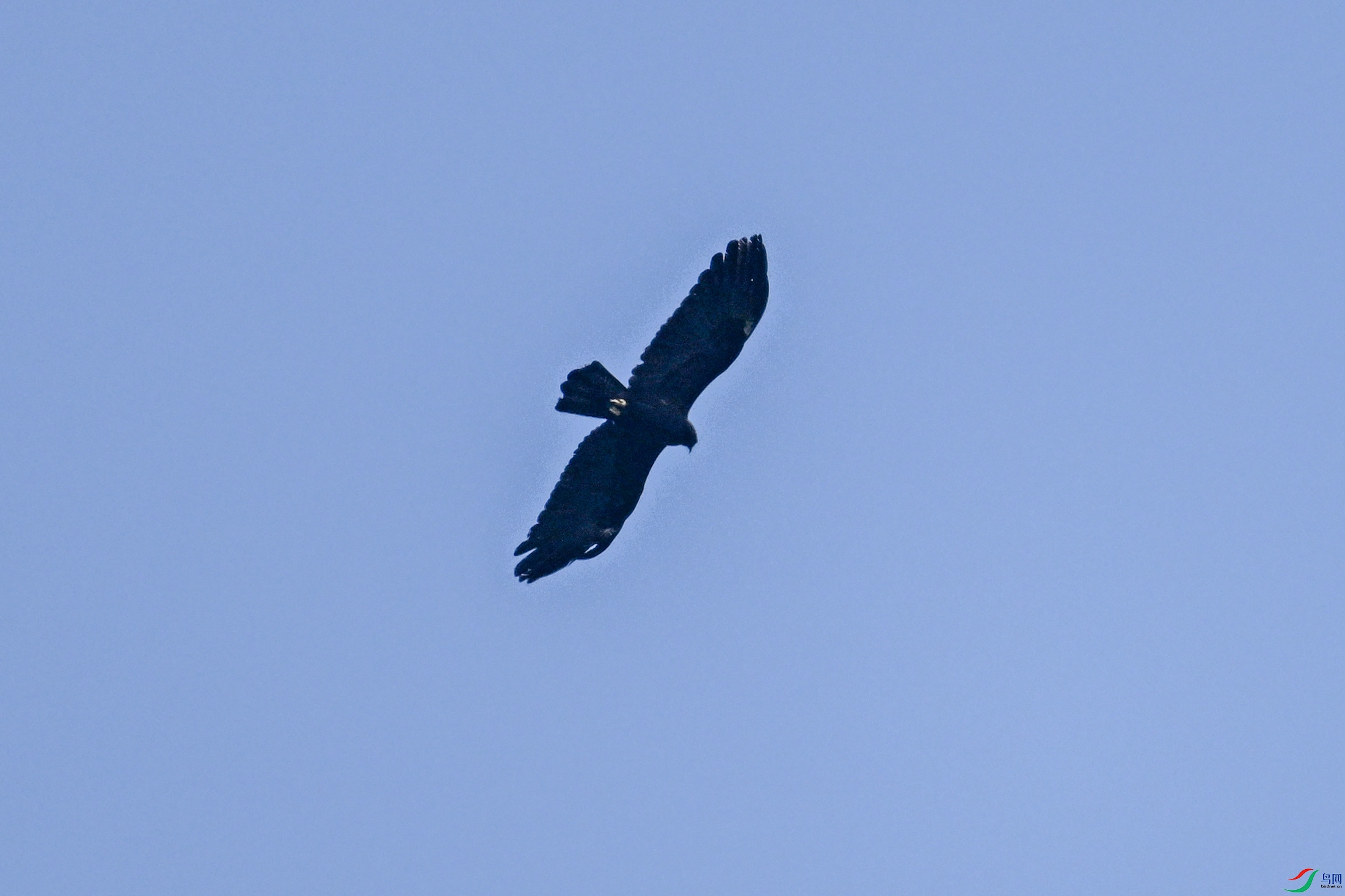 DSC_5526.JPG
