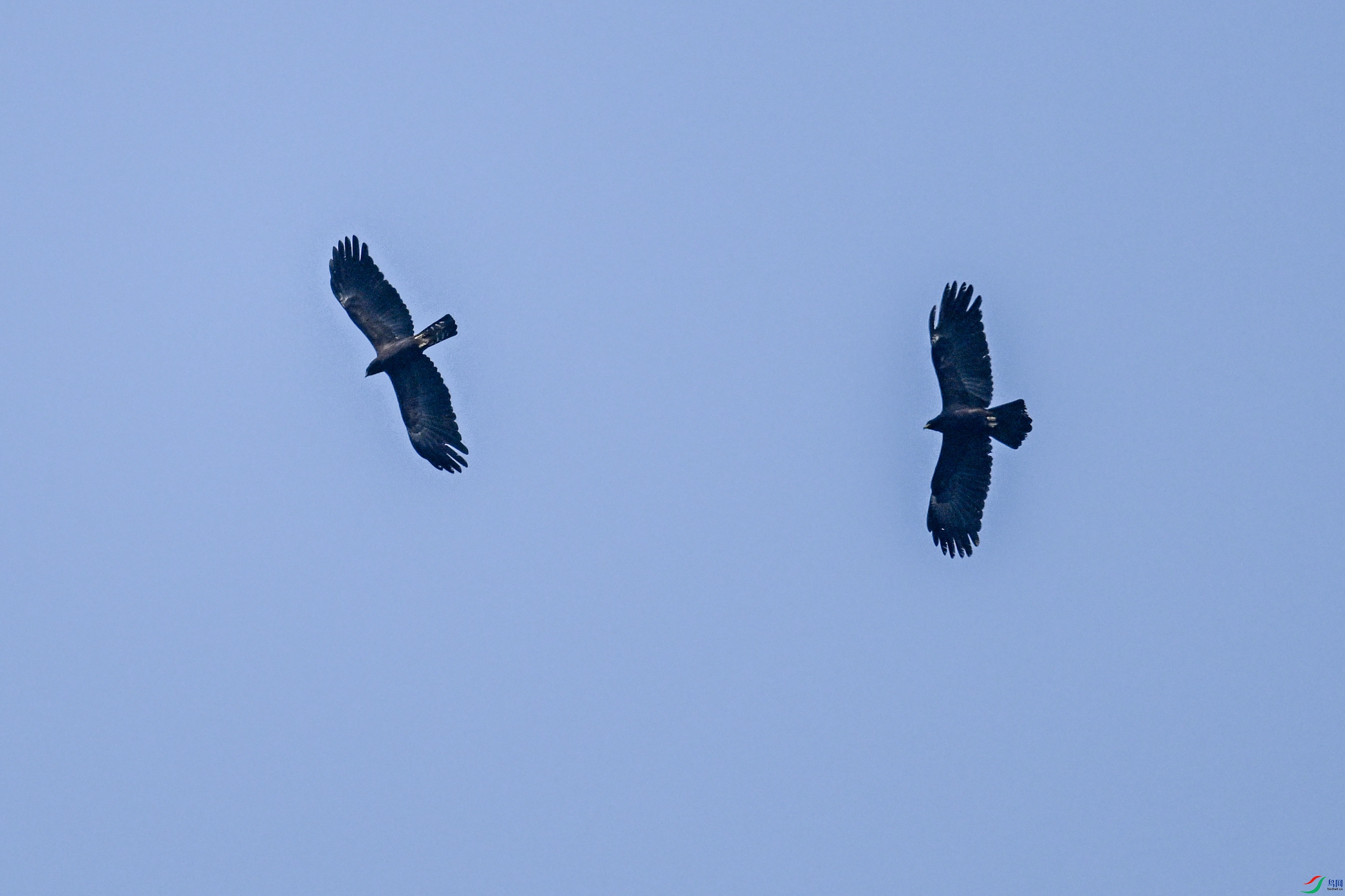 DSC_5543.JPG
