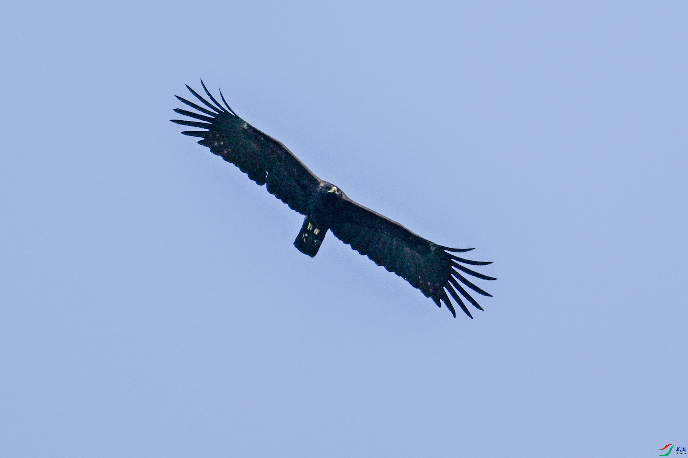 DSC_5562.JPG