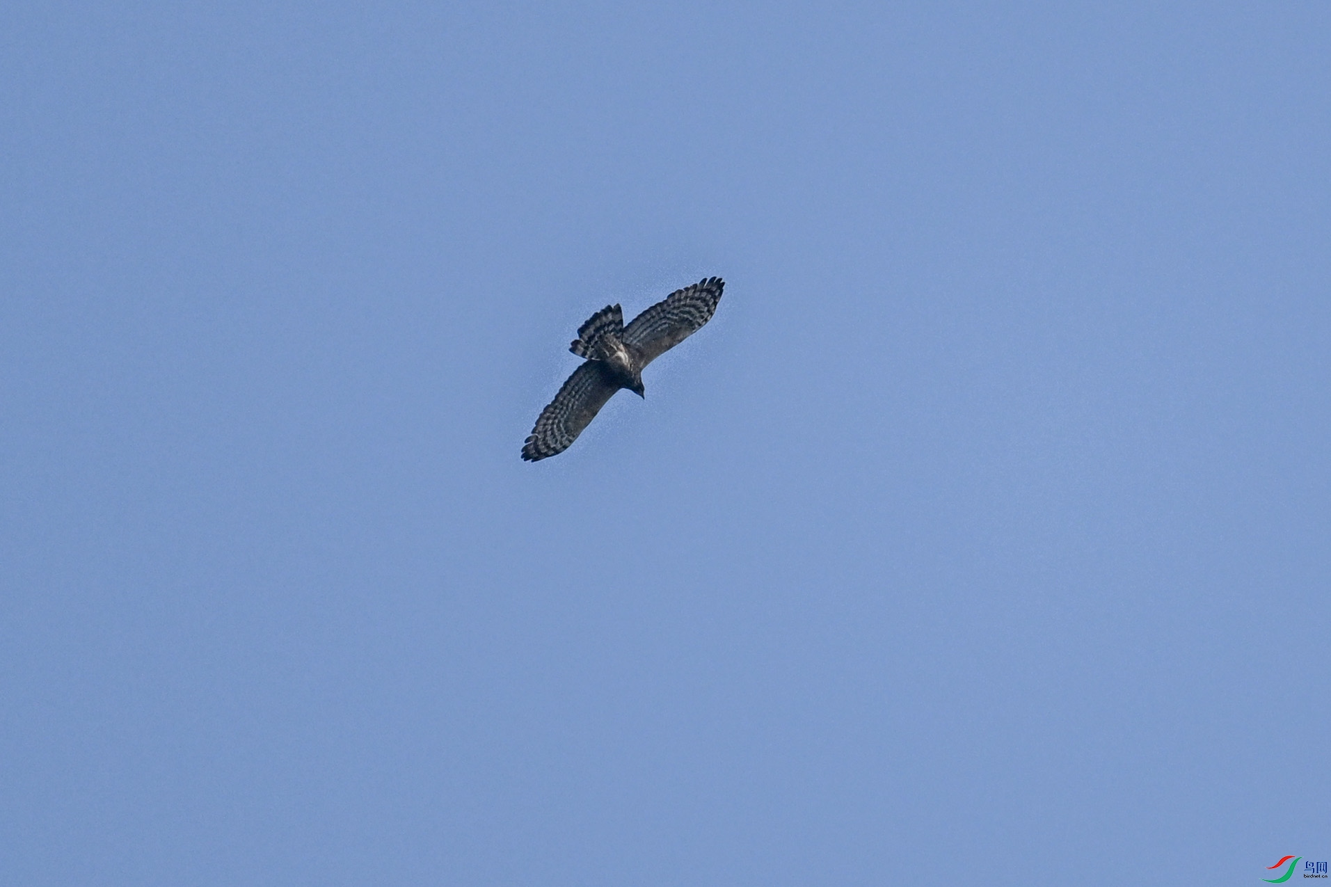 DSC_5527.JPG