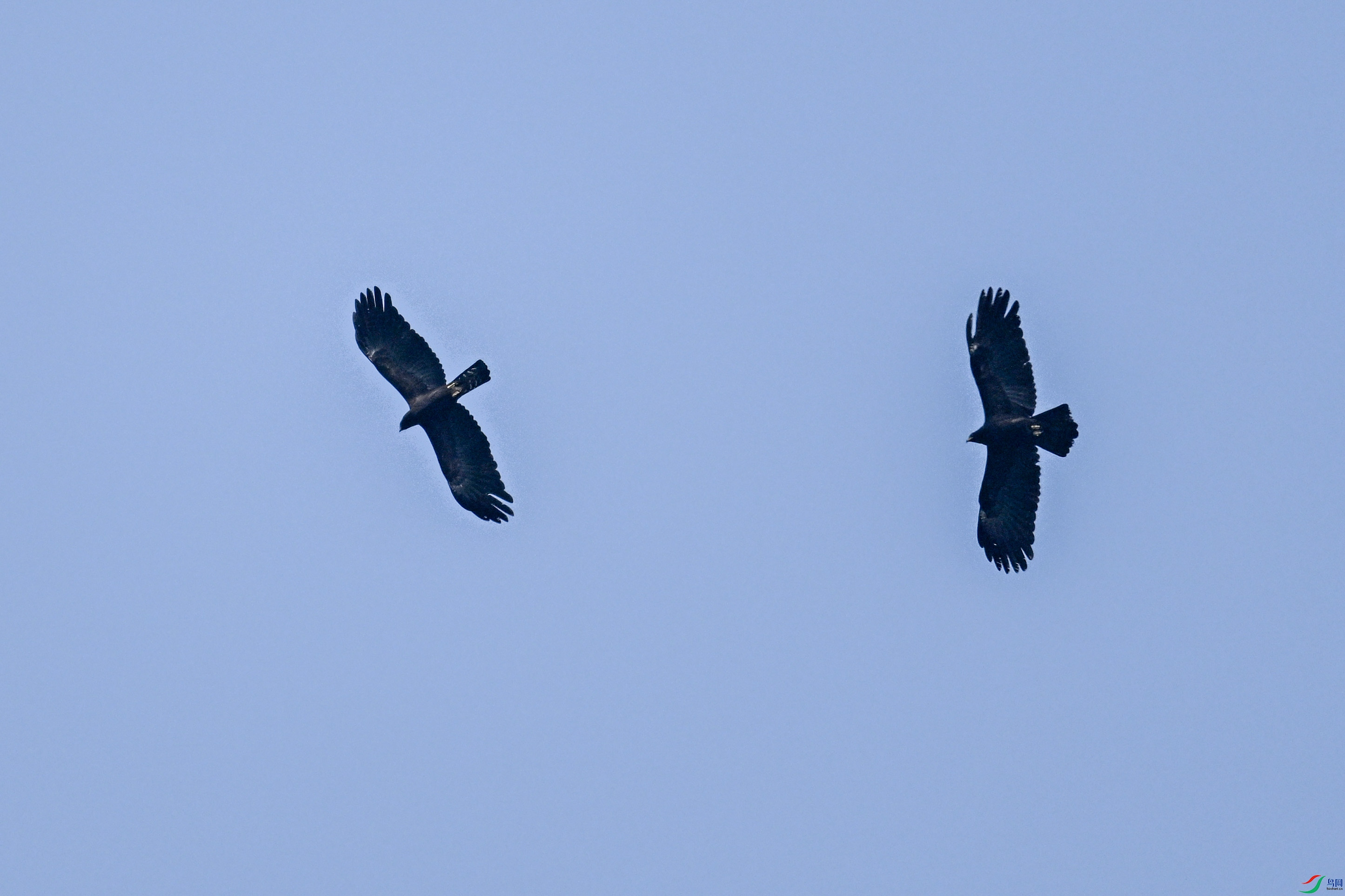 DSC_5545.JPG