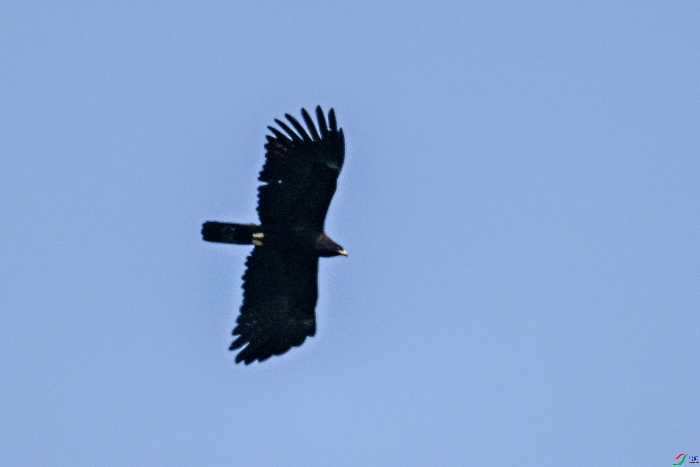 DSC_5566.JPG