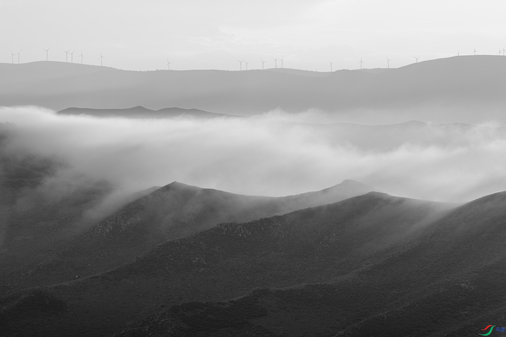 _DSC35840.jpg