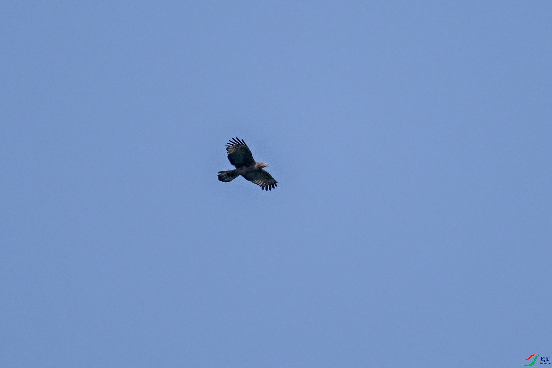 DSC_5547.JPG