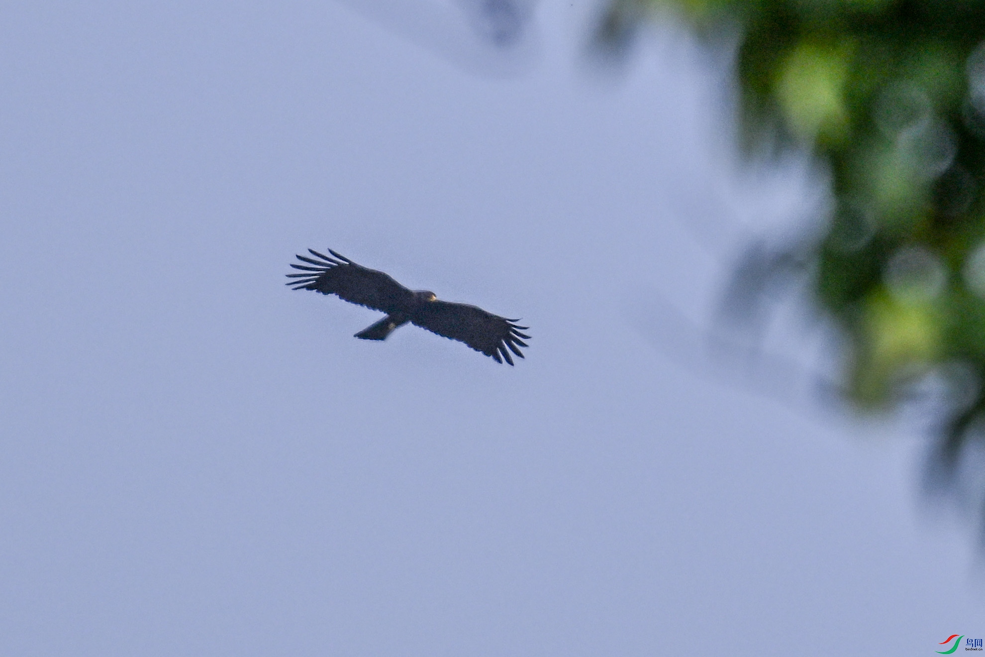 DSC_5570.JPG
