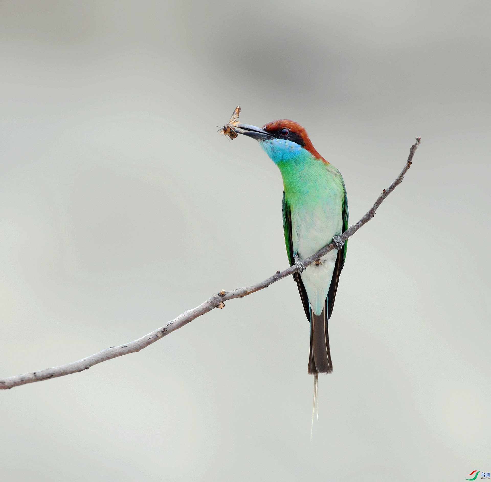 DSC_0109.jpg