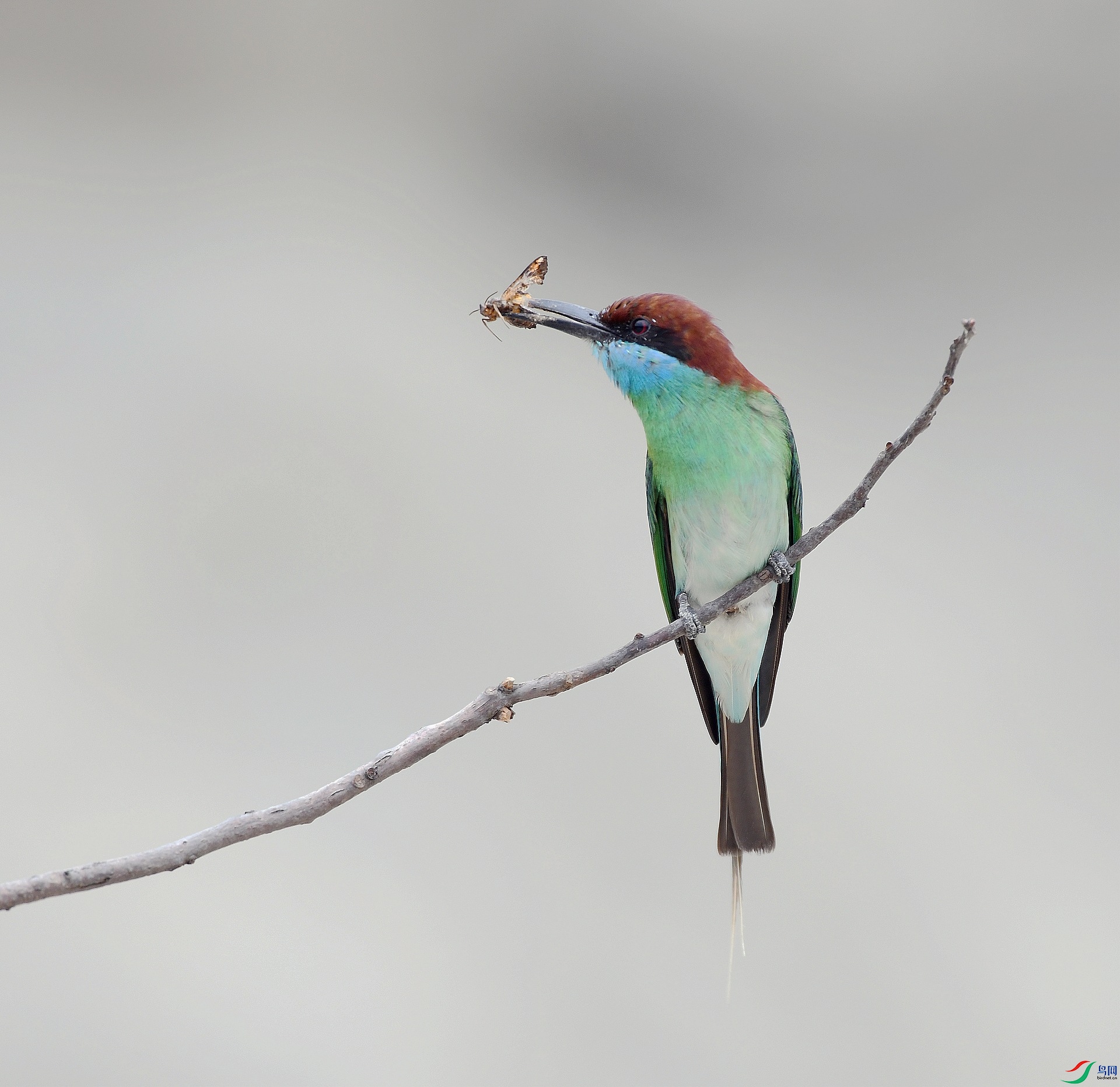 DSC_0106.jpg