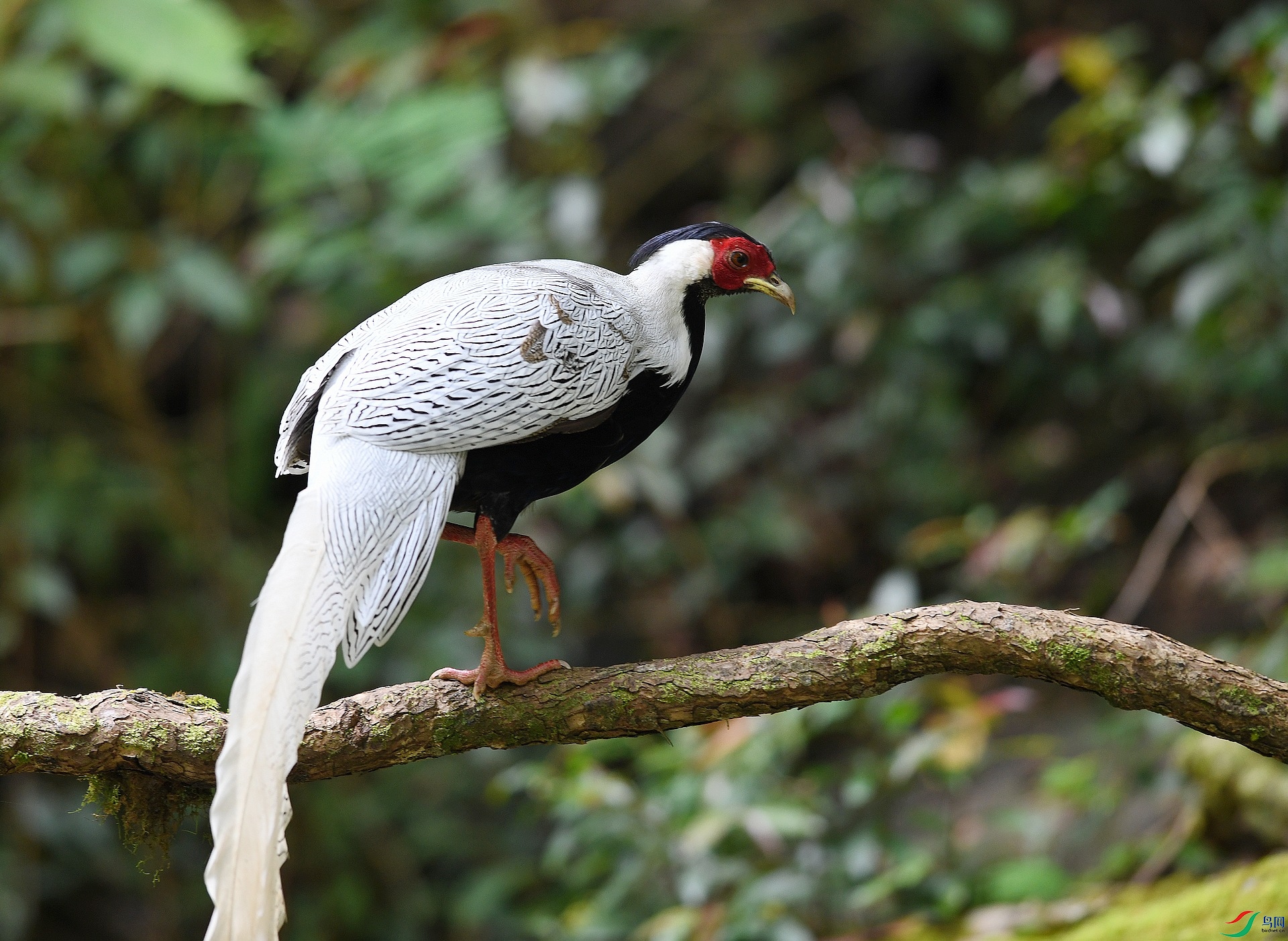 DSC_3373.jpg