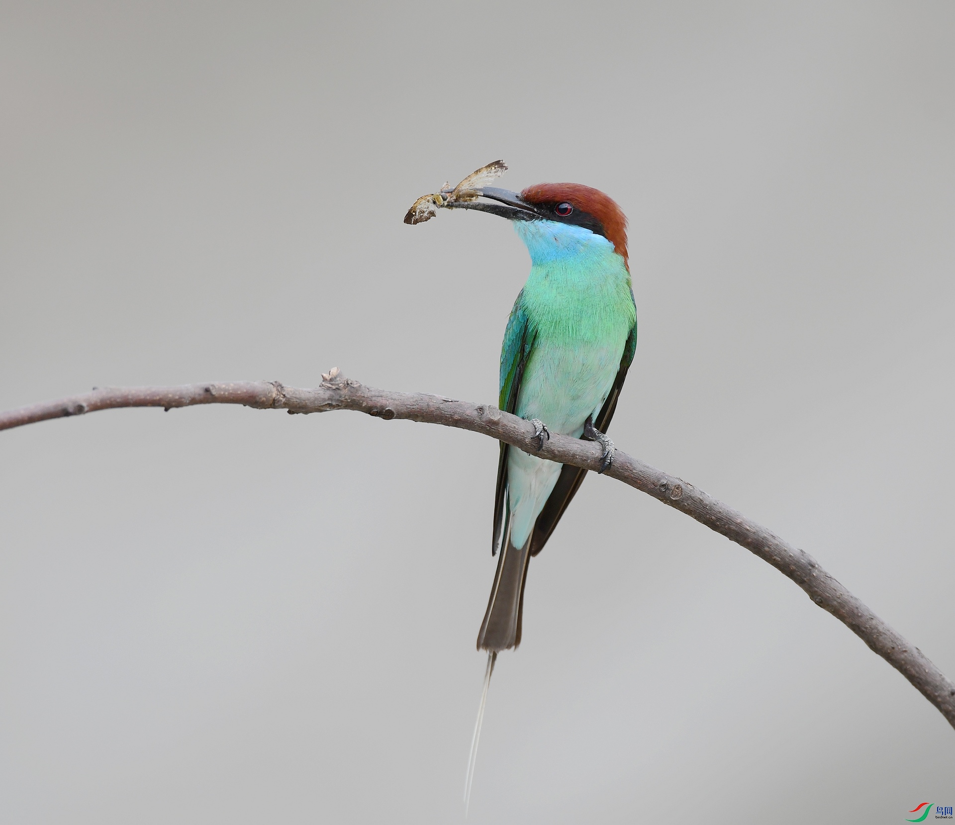 DSC_0830.jpg