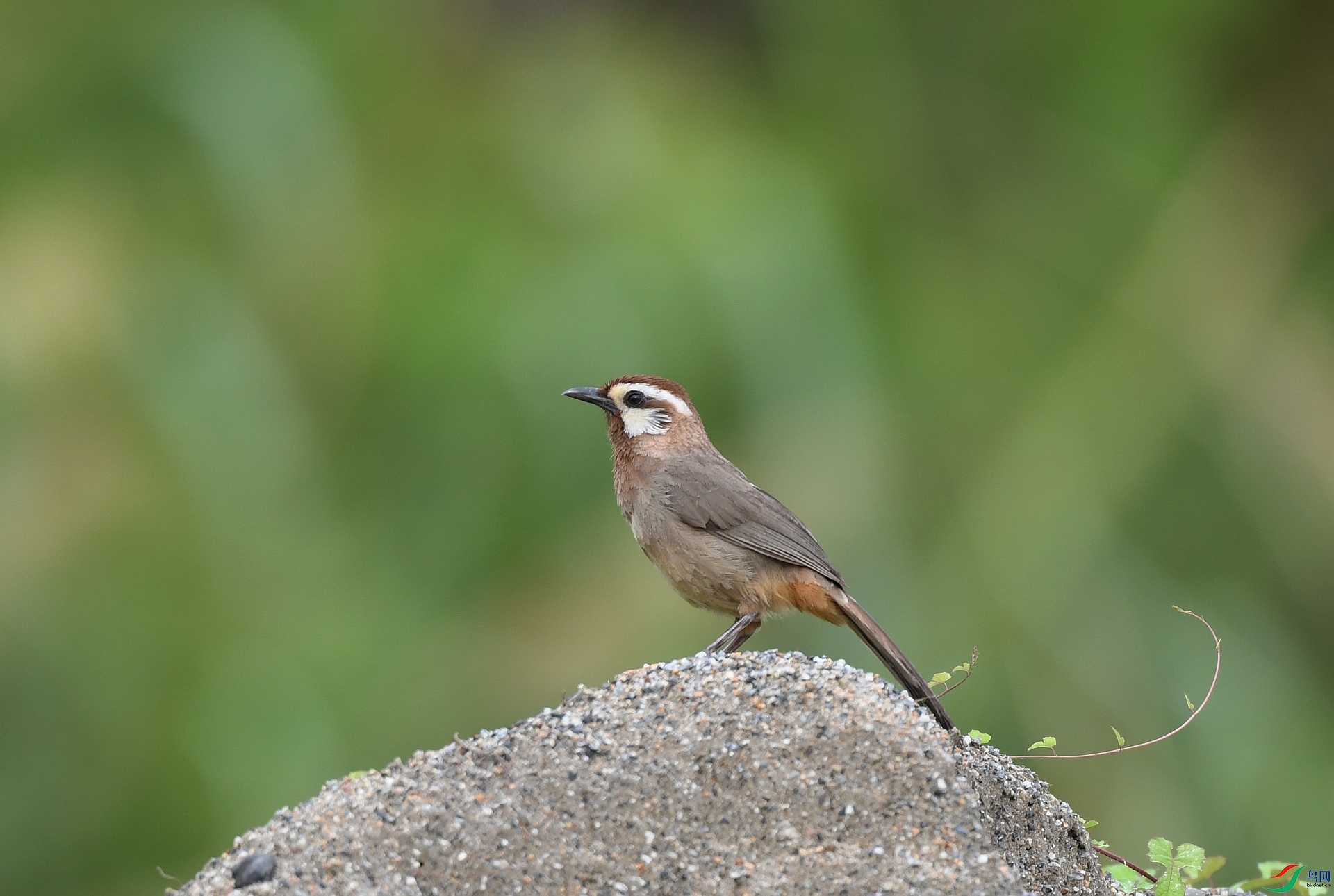 DSC_0754.jpg