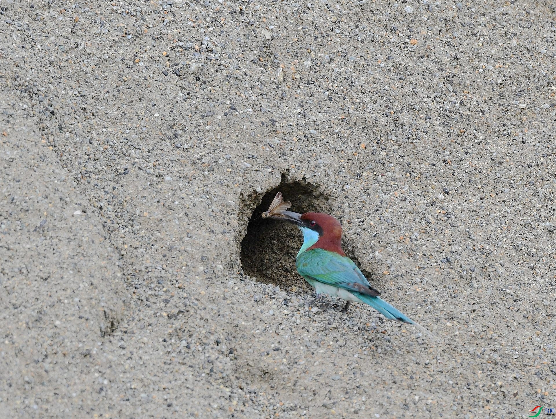 DSC_0834.jpg