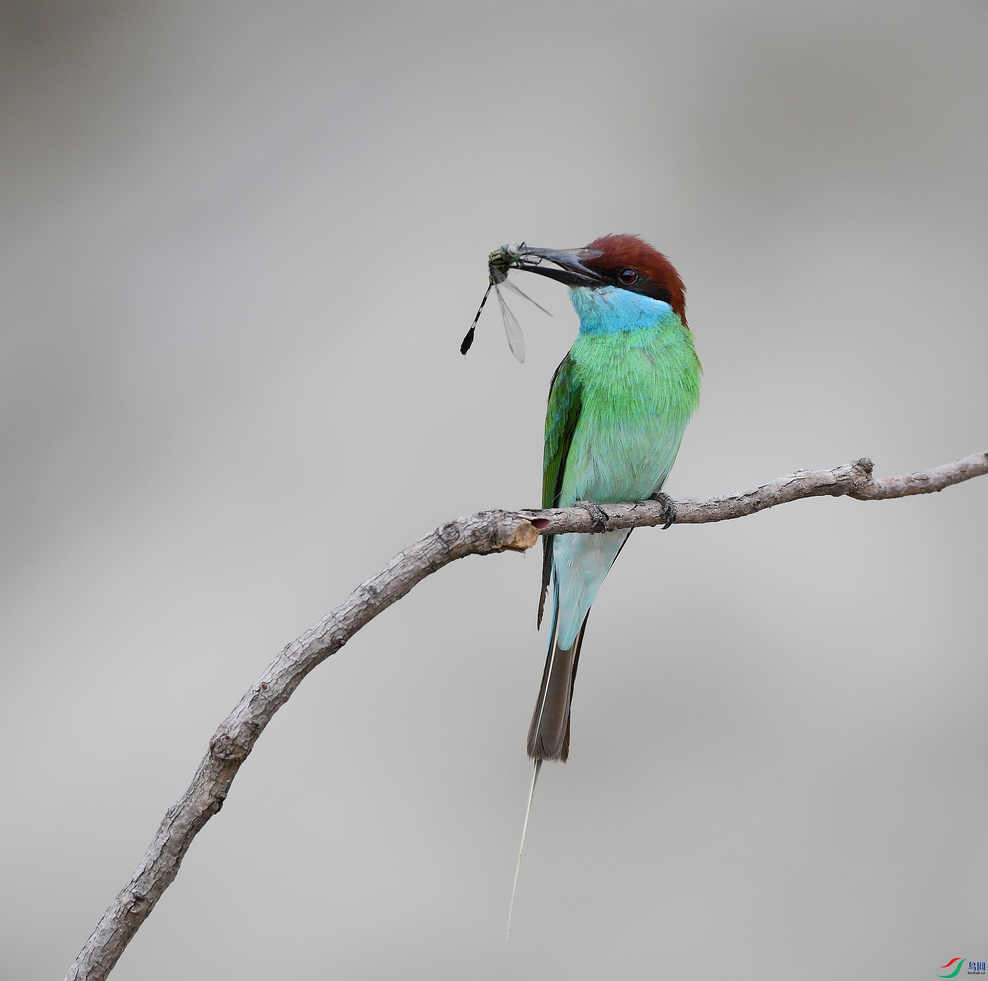 DSC_0855.jpg