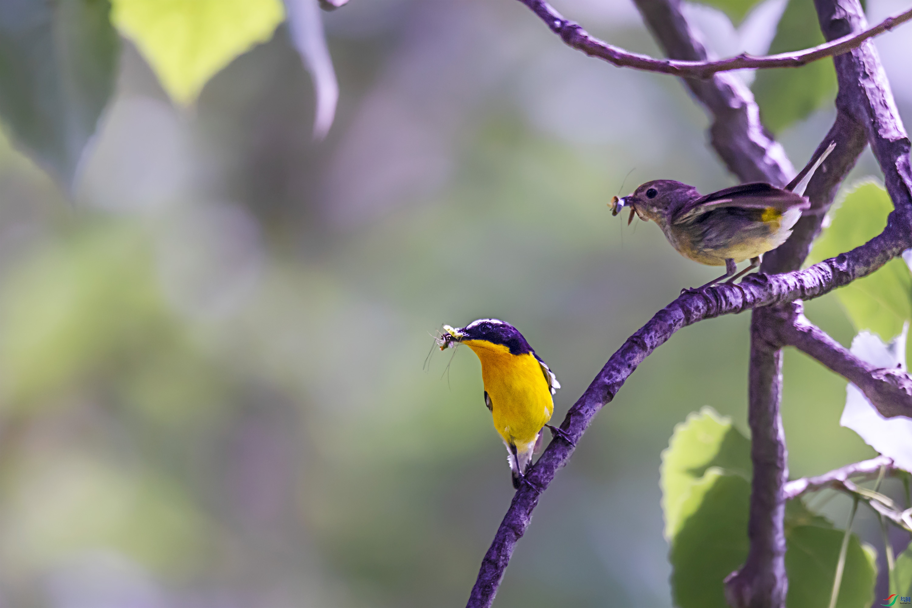 278A7313.jpg