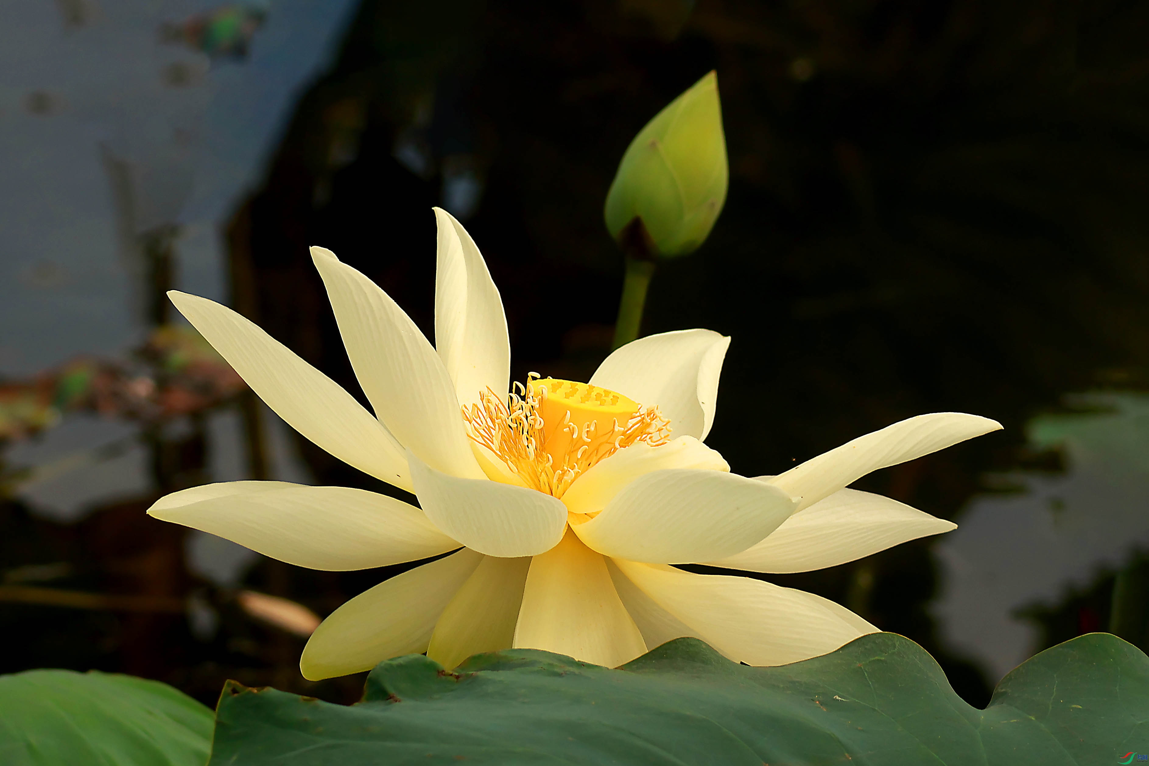 2G9A4656.JPG