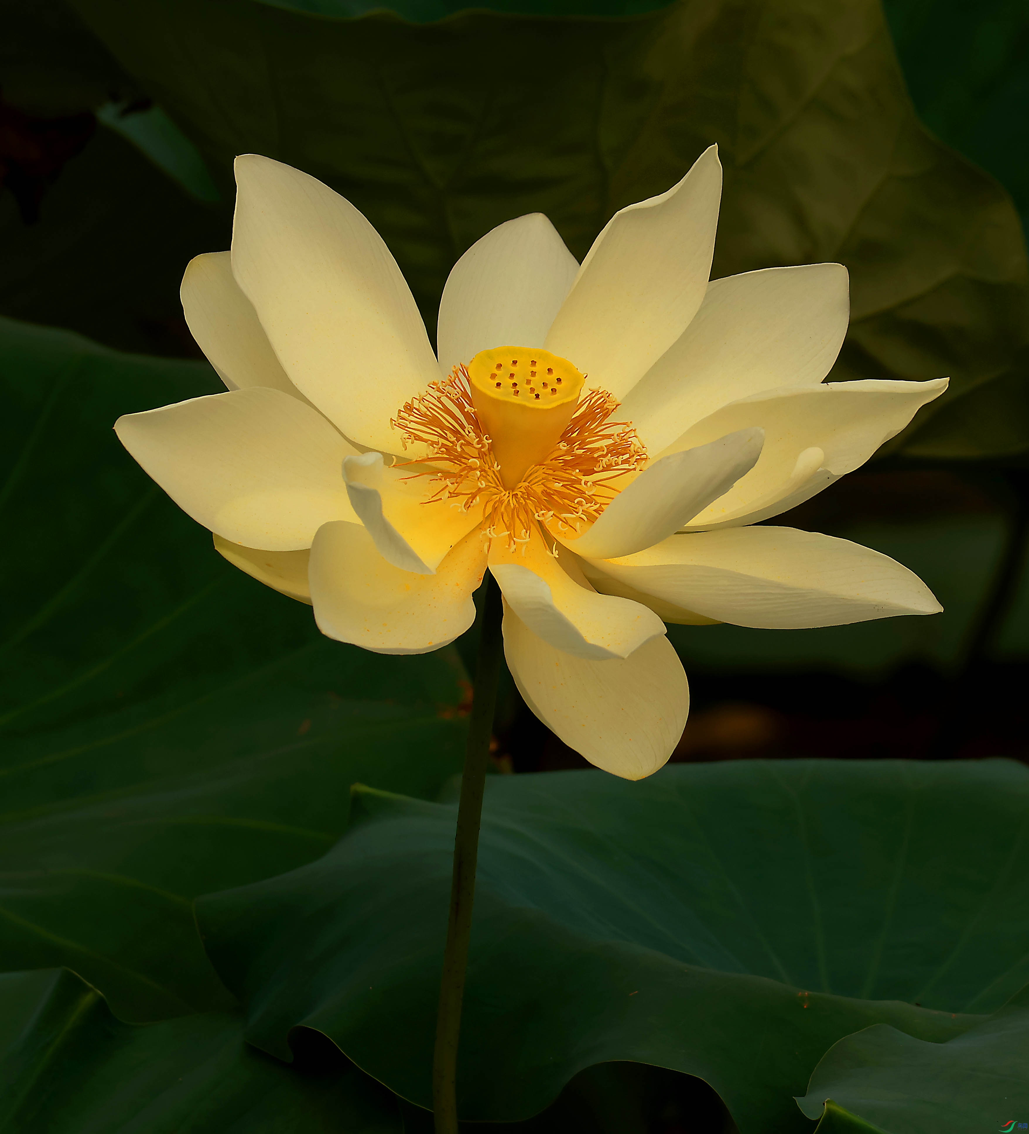 2G9A4658.JPG