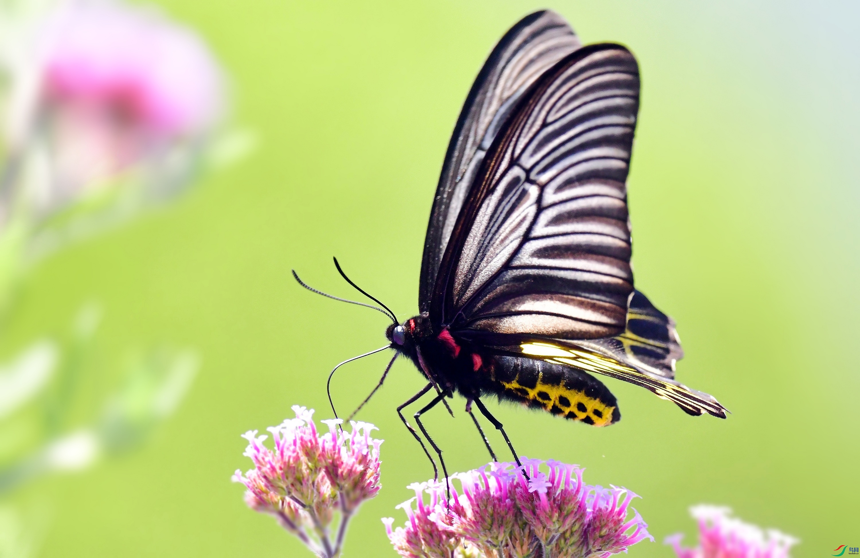 DSC_8091_conew9.jpg