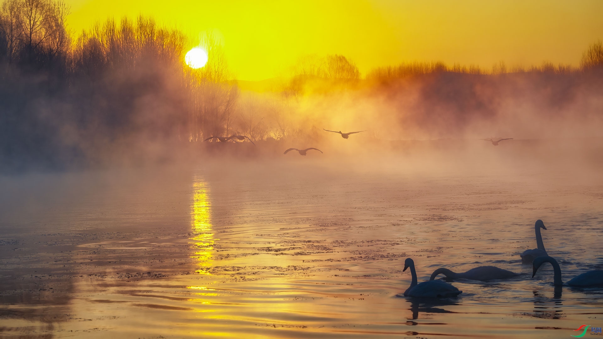 0H0A9220_1.jpg
