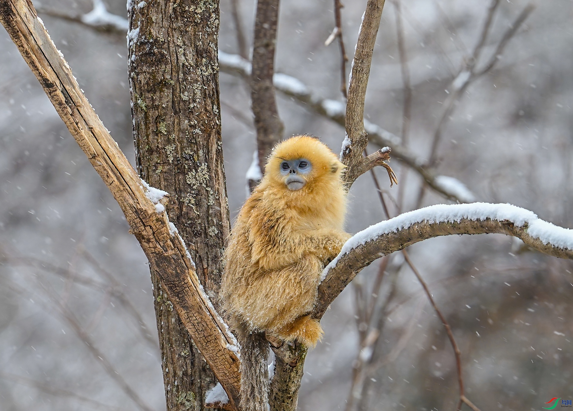 DSC_7991.jpg