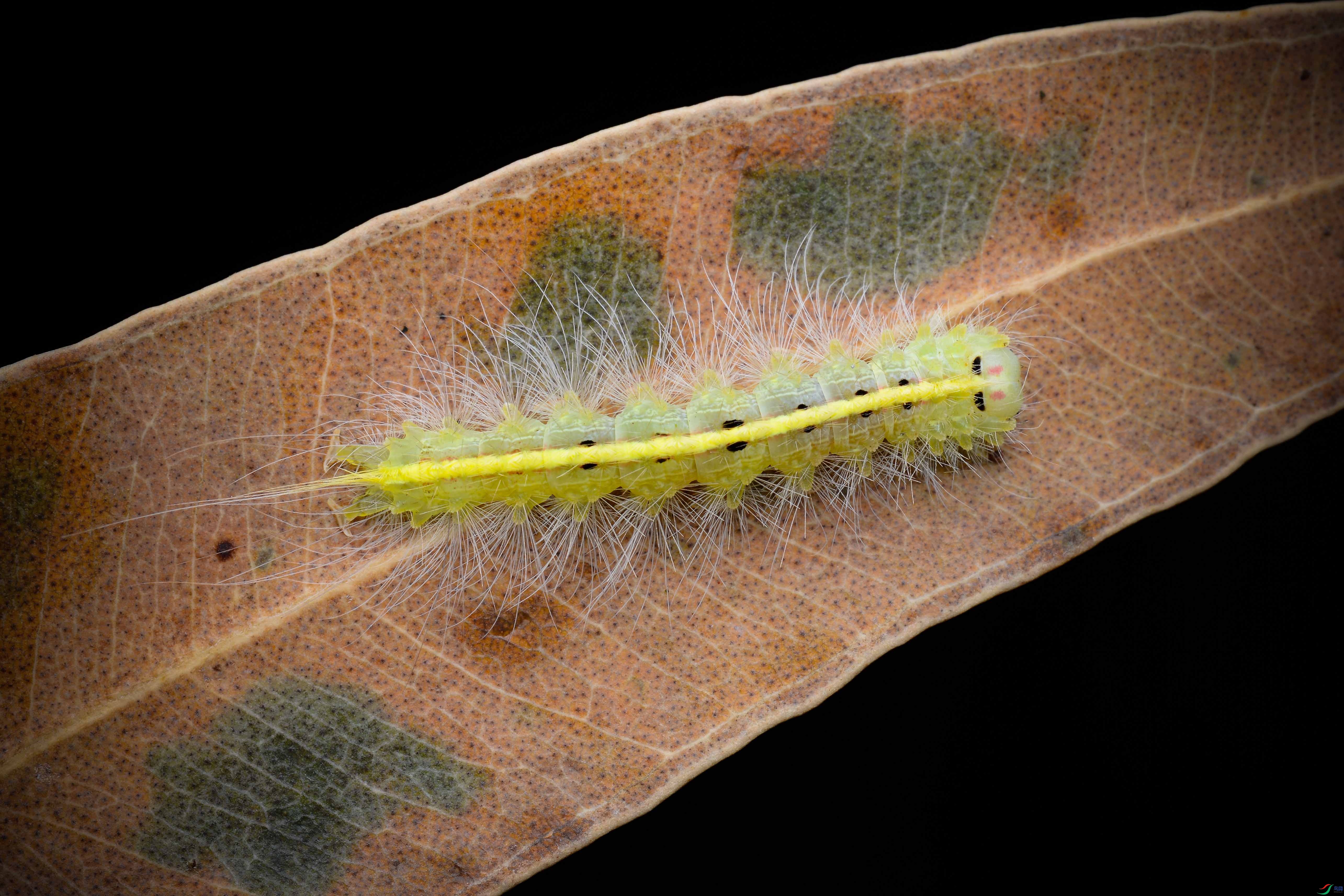 DSC_5086-0.jpg