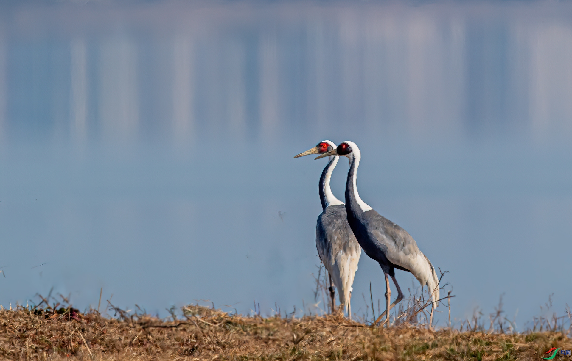 NIKON-CORPORATION__NIKON-D5__2019_01_27__65b84d20-11.jpg