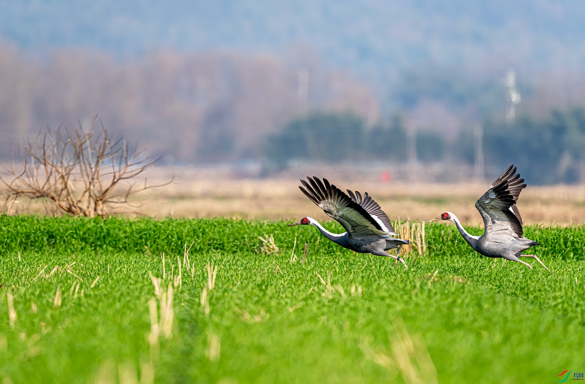 NIKON-CORPORATION__NIKON-D5__2019_01_22__62f1ced8-11.jpg
