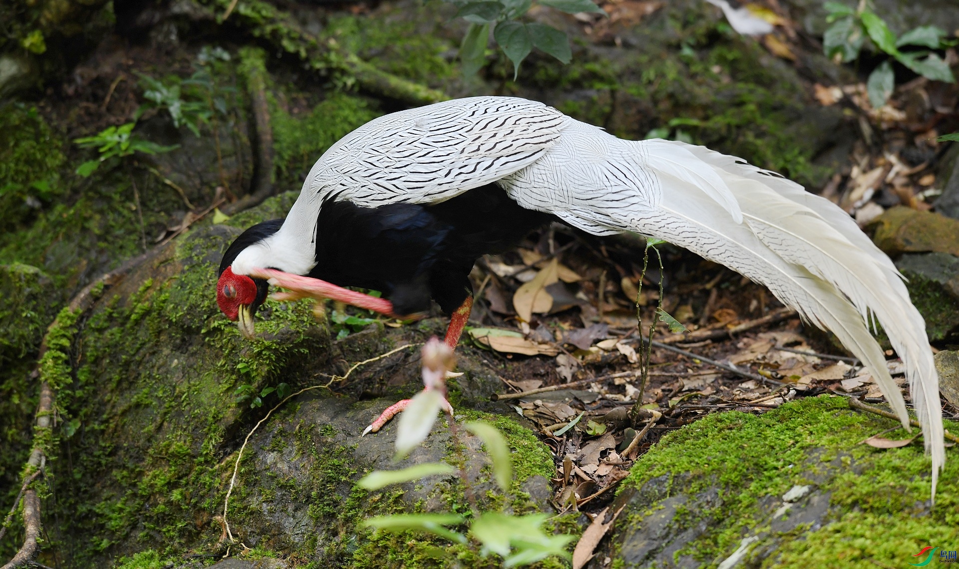 DSC_3496.jpg