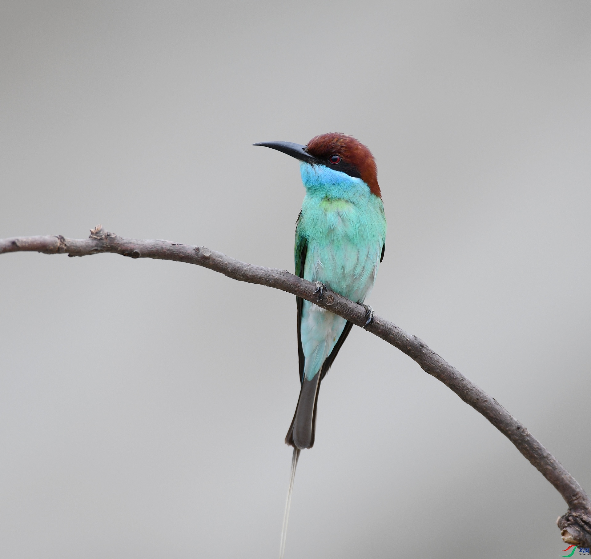 DSC_0611.jpg