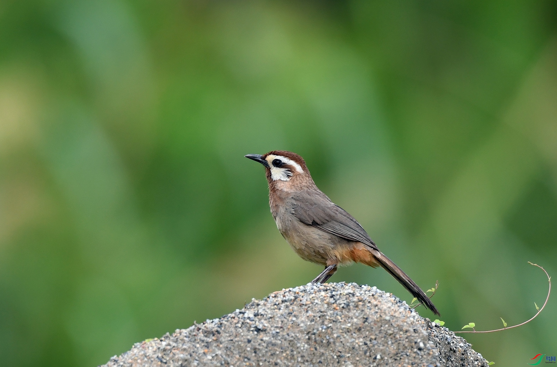 DSC_0751.jpg
